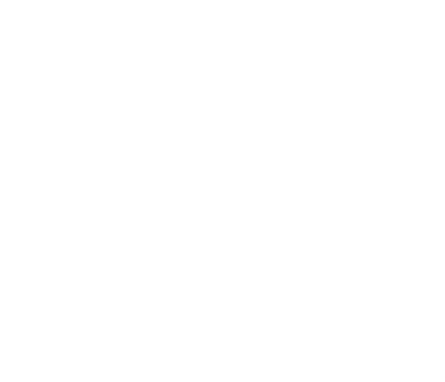 Wild One Media
