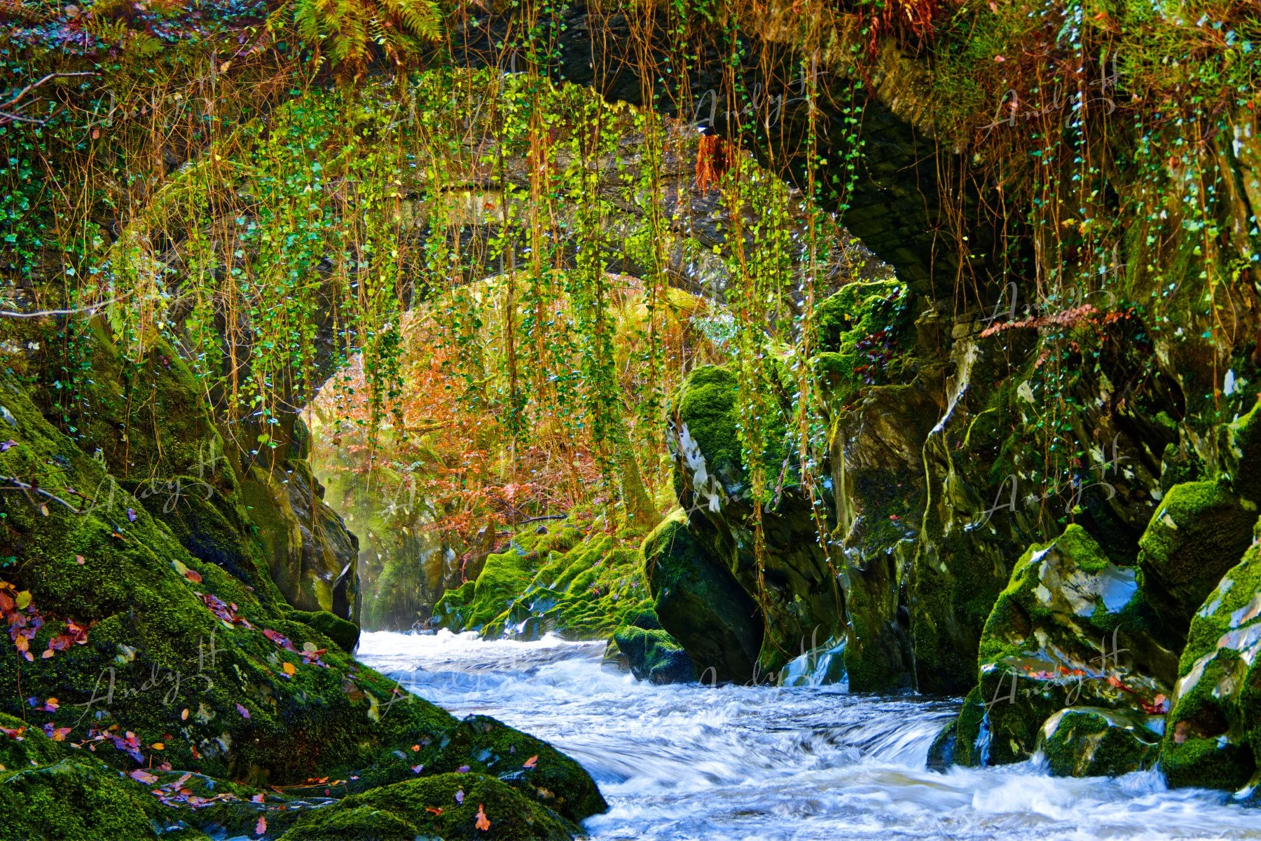 Landscape Photography fine art print, A lush green forest scene with a flowing river or stream, moss-covered rocks, and overhanging hanging vines and foliage. Roman Bridge, Betws-y-Coed, Snowdonia