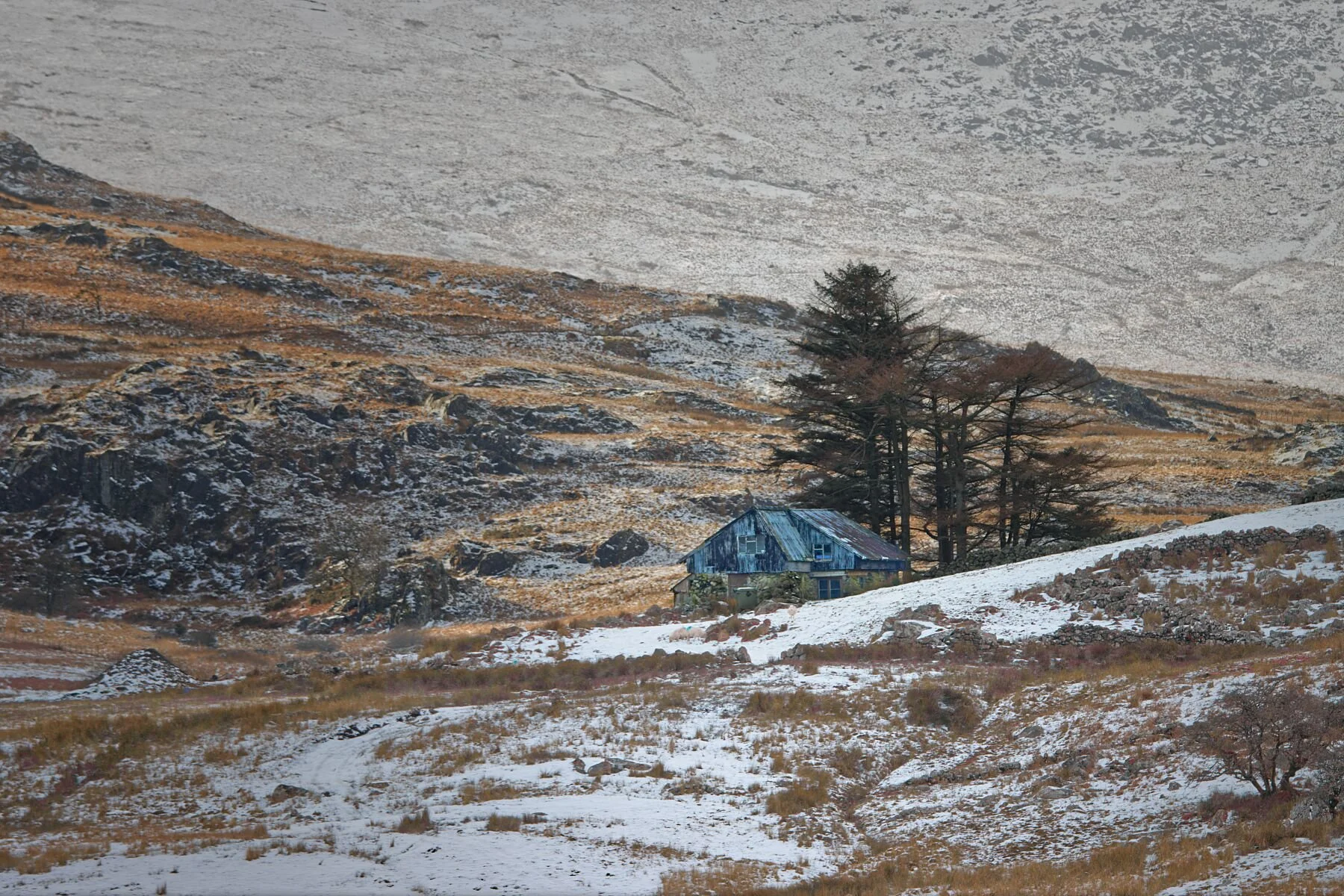 Winter Isolation
