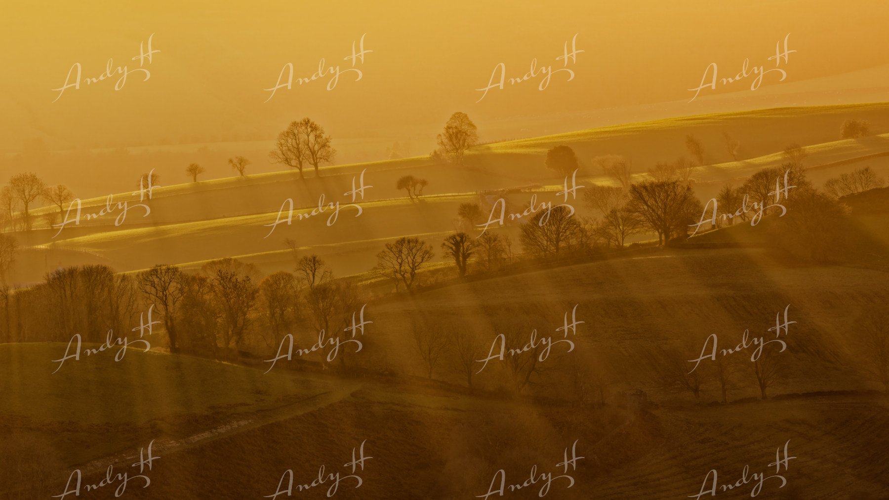 Landscape Photography fine art print, Sunset over rolling hills with scattered leafless trees in a rural landscape. snowdonia, llangollen