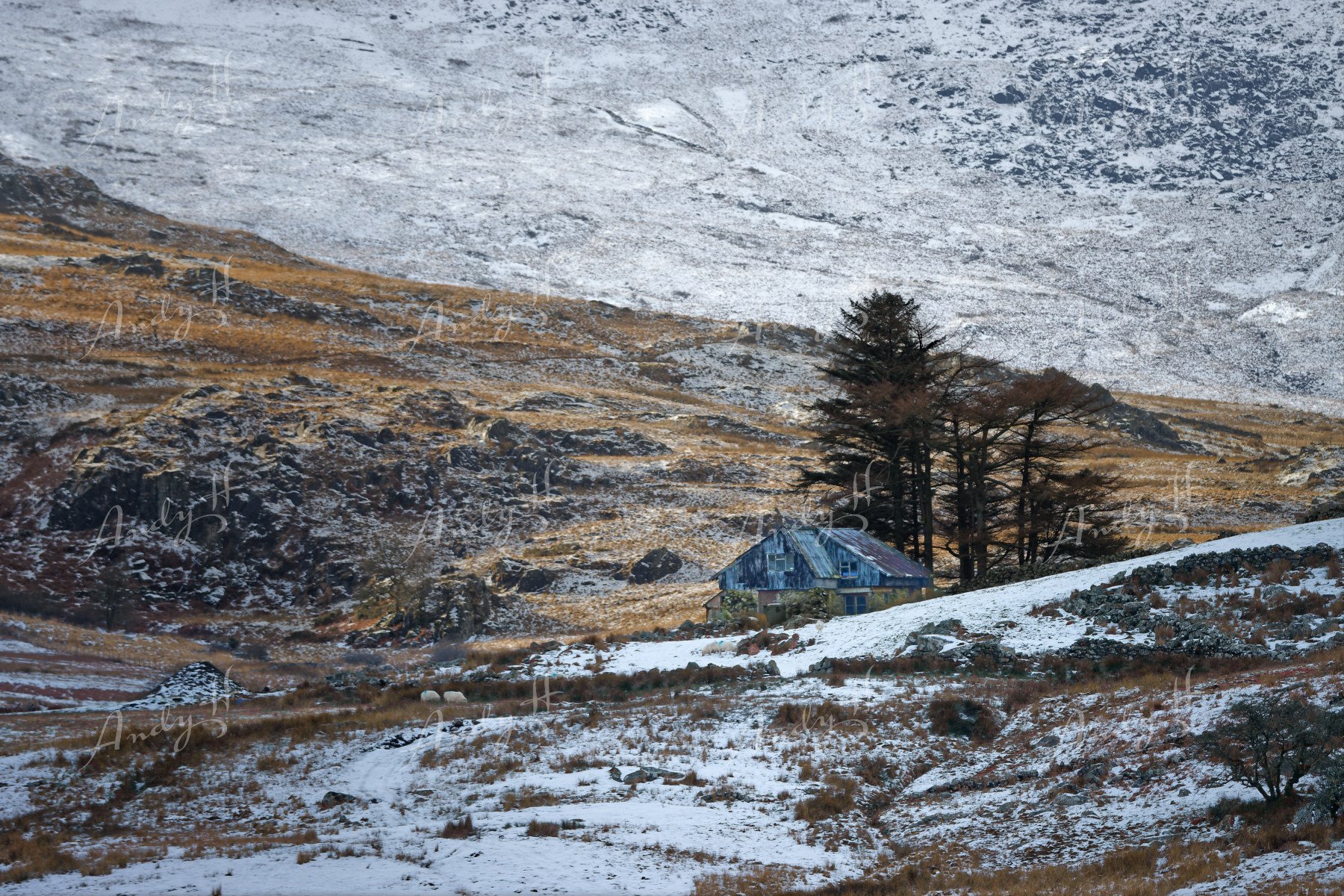Landscape Photography fine art print, A snow-covered landscape with a small wooden house near some tall trees, set against a mountainous background in winter. snowdonia