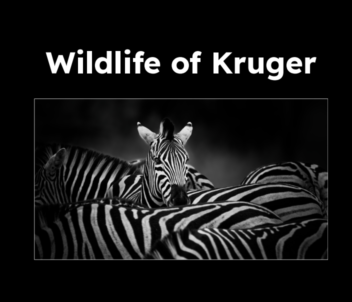 Wildlife of Kruger digital download