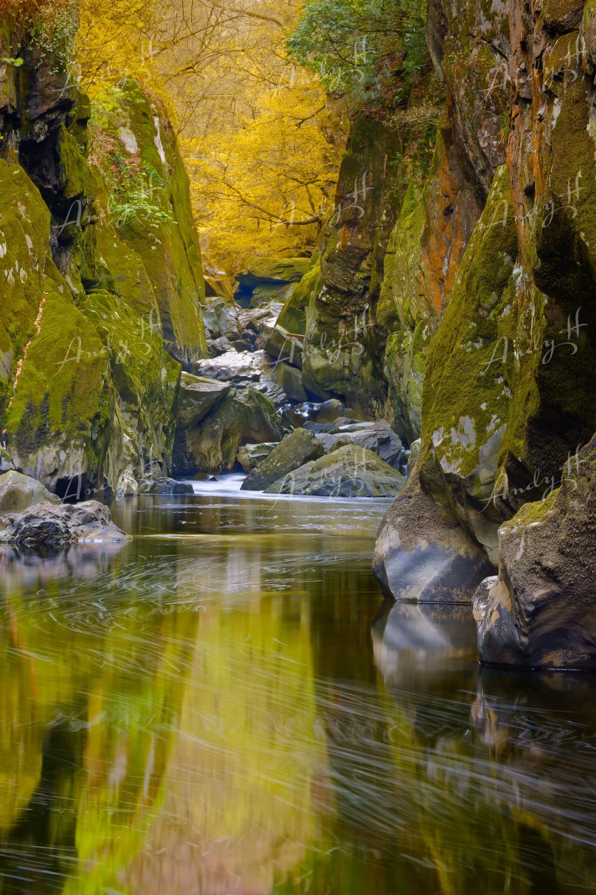 Landscape Photography fine art print, A narrow canyon with moss-covered rocks on either side, a gentle stream flowing through, and autumn-colored trees in the background. Fairy Glen, Snowdonia