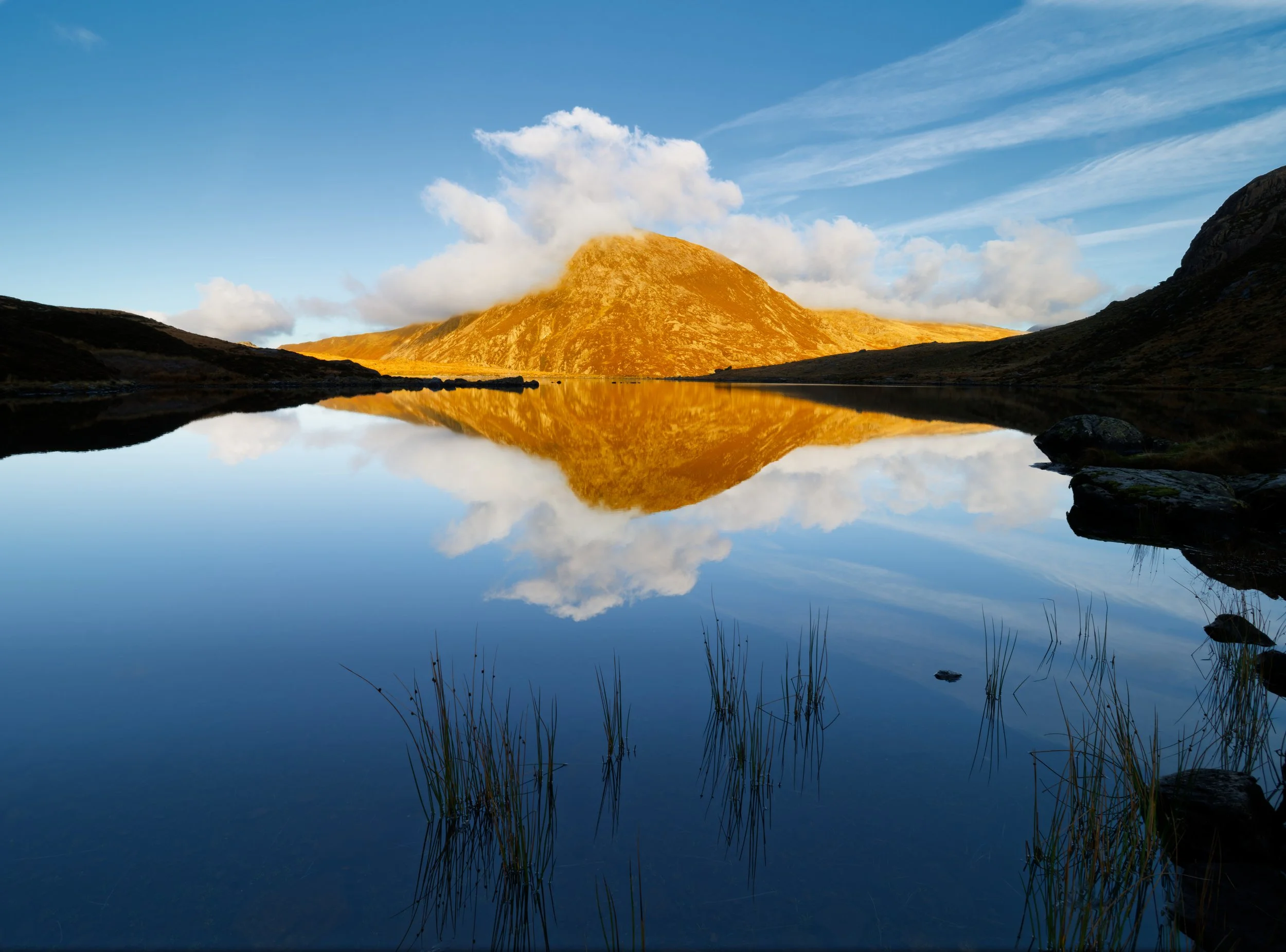 Landscape photograhy fine art photography, nature photography, snowdoniaA mountain landscape with a large mountain covered in golden grass or heather, reflected in a calm lake. The sky is blue with some white clouds and streaks of clouds.