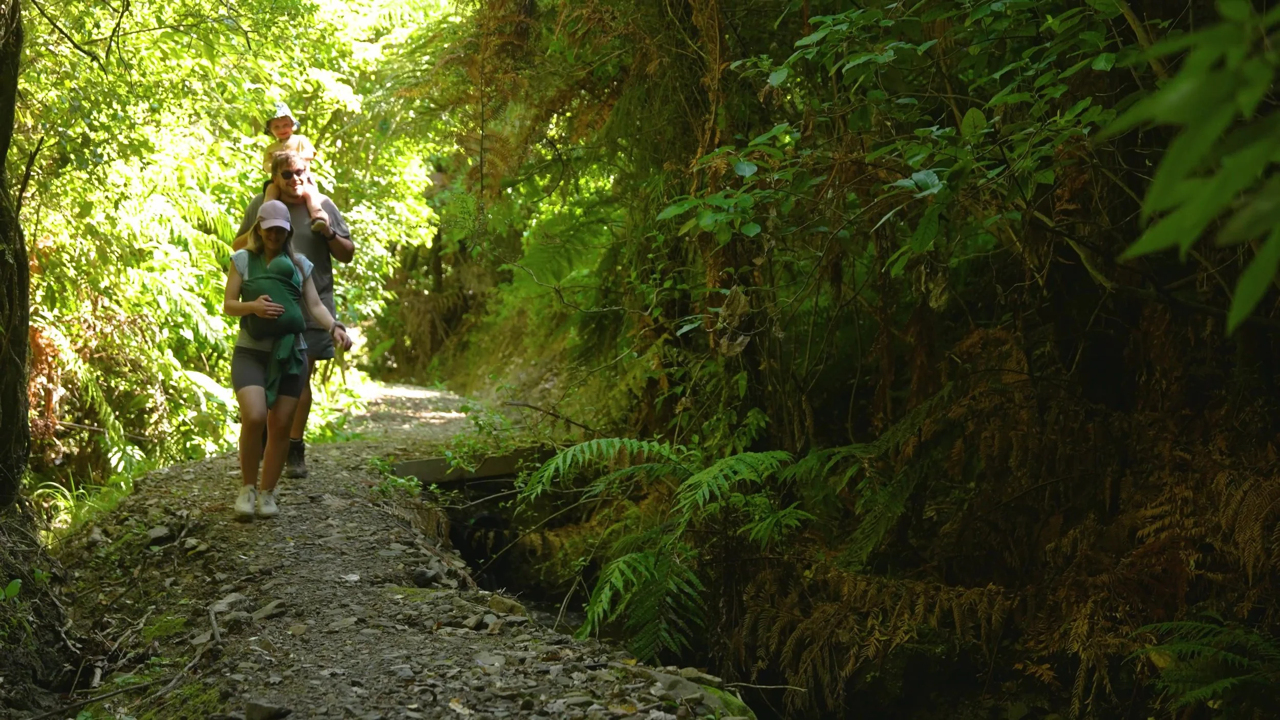 dirtfarm_kcdc_fundingproposal (2160p)_Moment.jpg