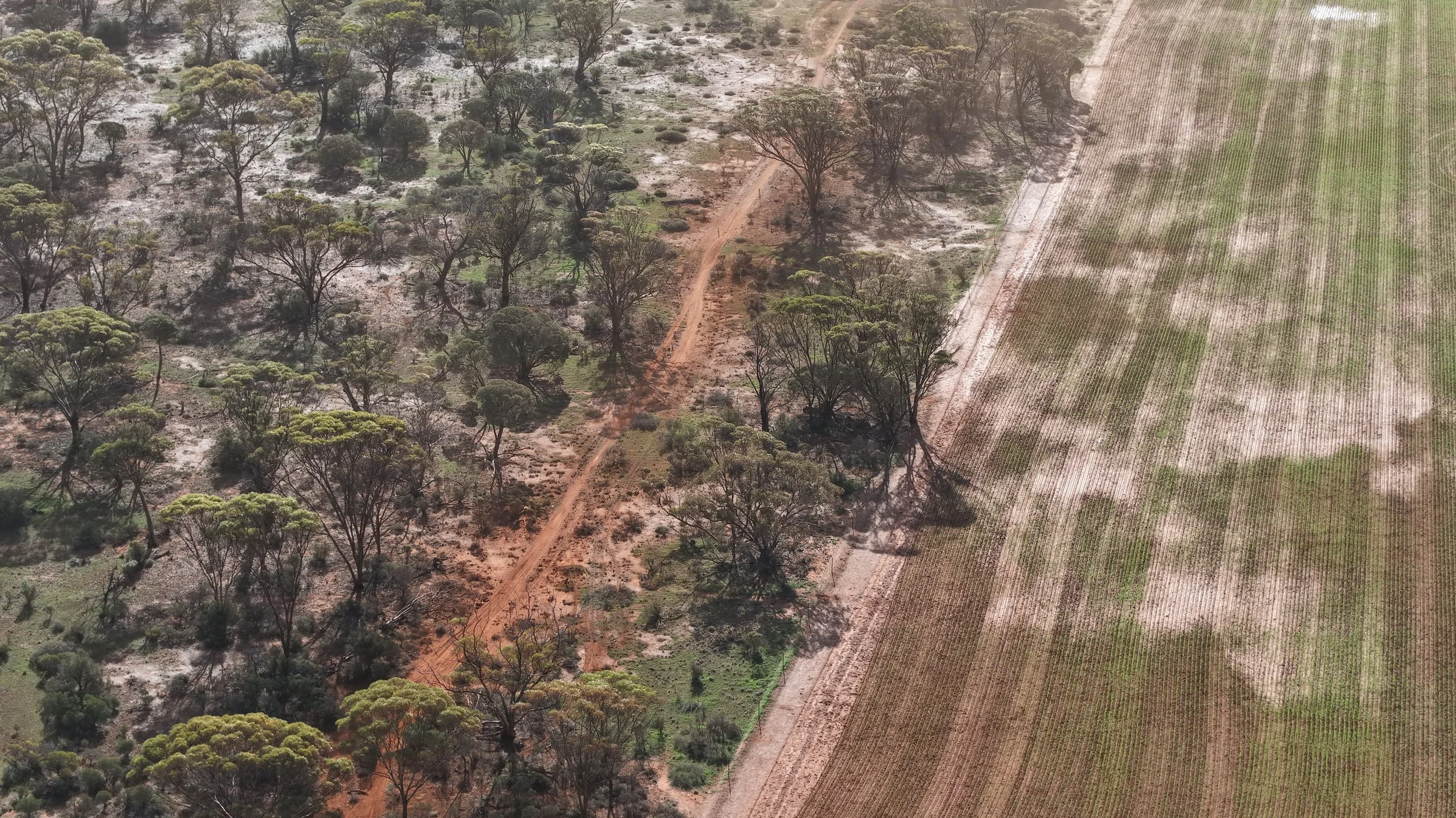 DJI_20260711144458_0020_D.JPG