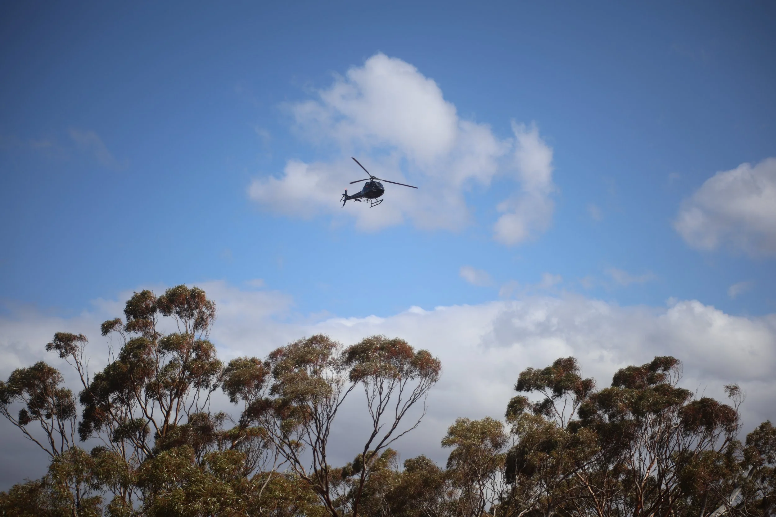 A helicopter flying in a blue sky with white clouds, above trees with dark and green leaves.