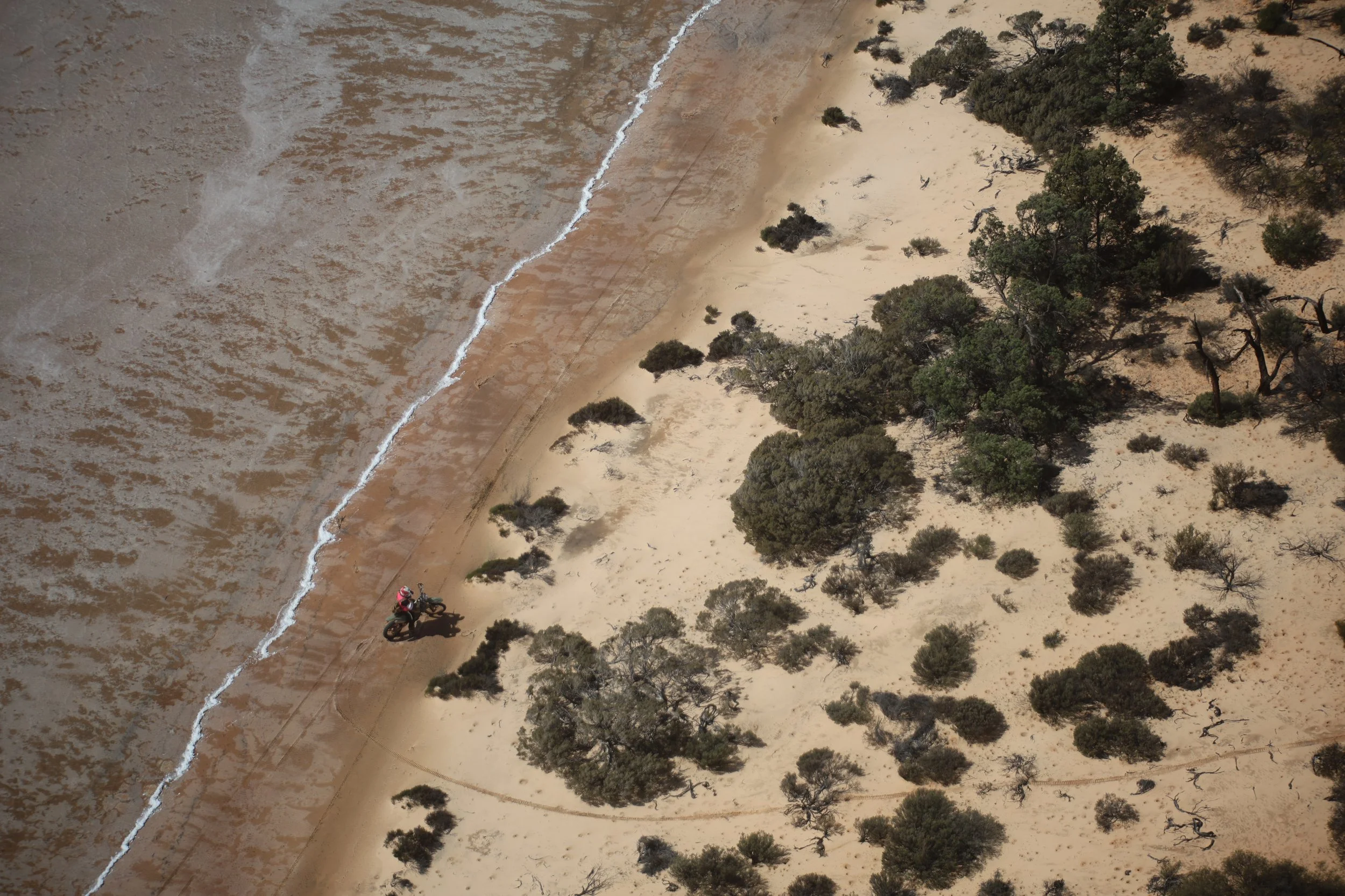 An aerial view of a sandy beach with trees, with a person riding a motorcycle along the shoreline near the water.