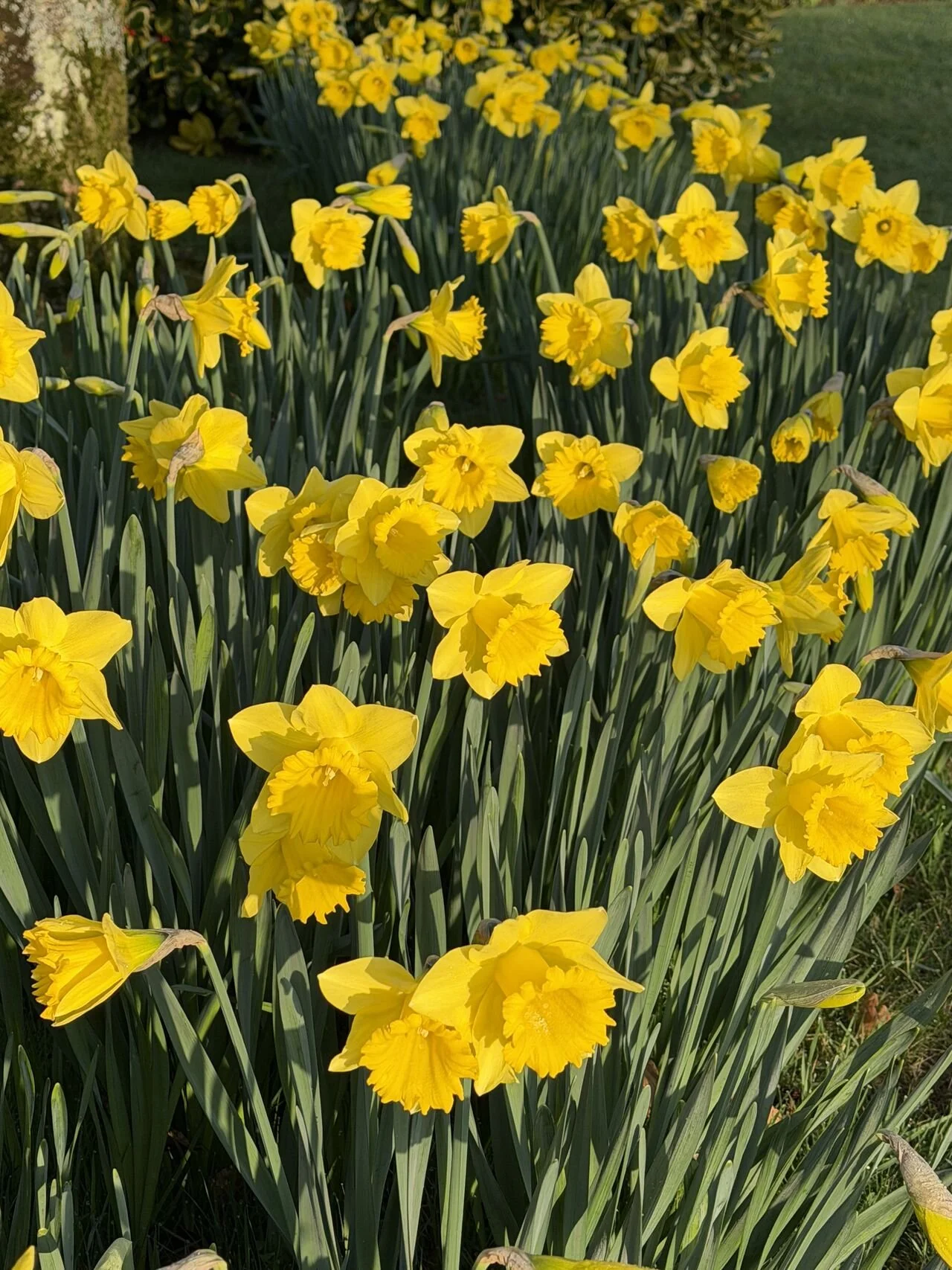 💛 Spring is here 💛 