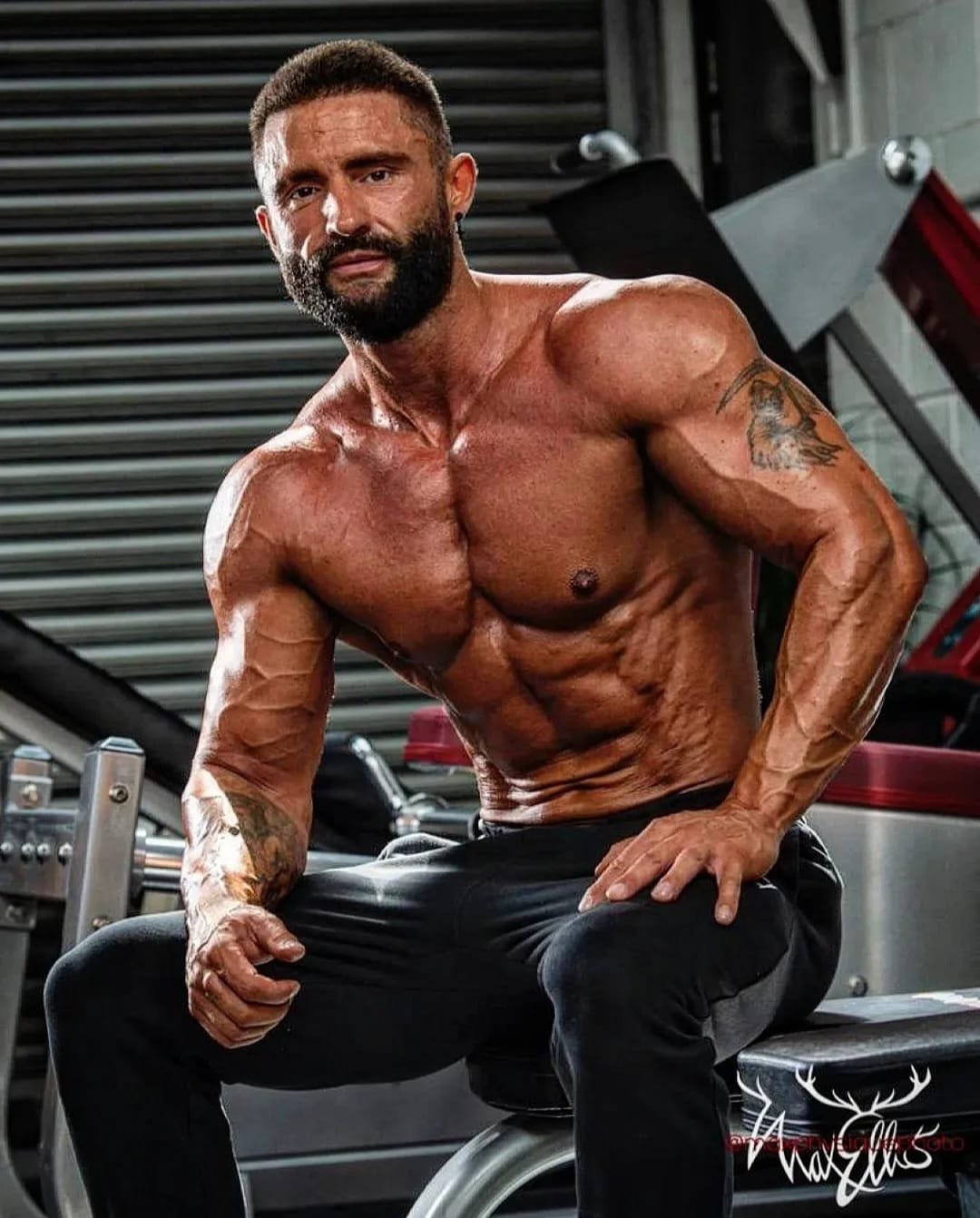 A muscular shirtless man with a beard and tattoos sitting on a gym bench in workout gear.