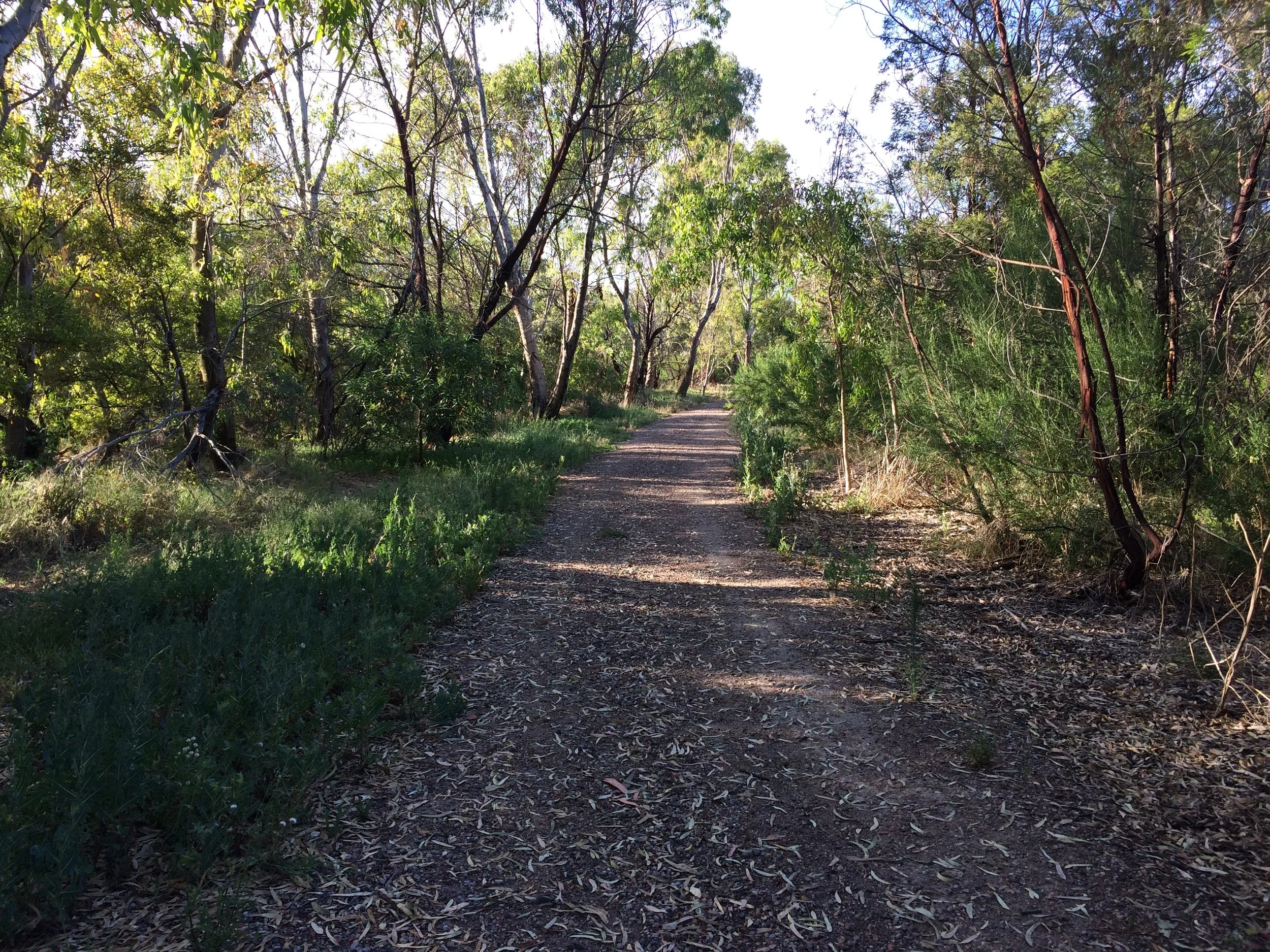 Kororoit Creek pathway 2026