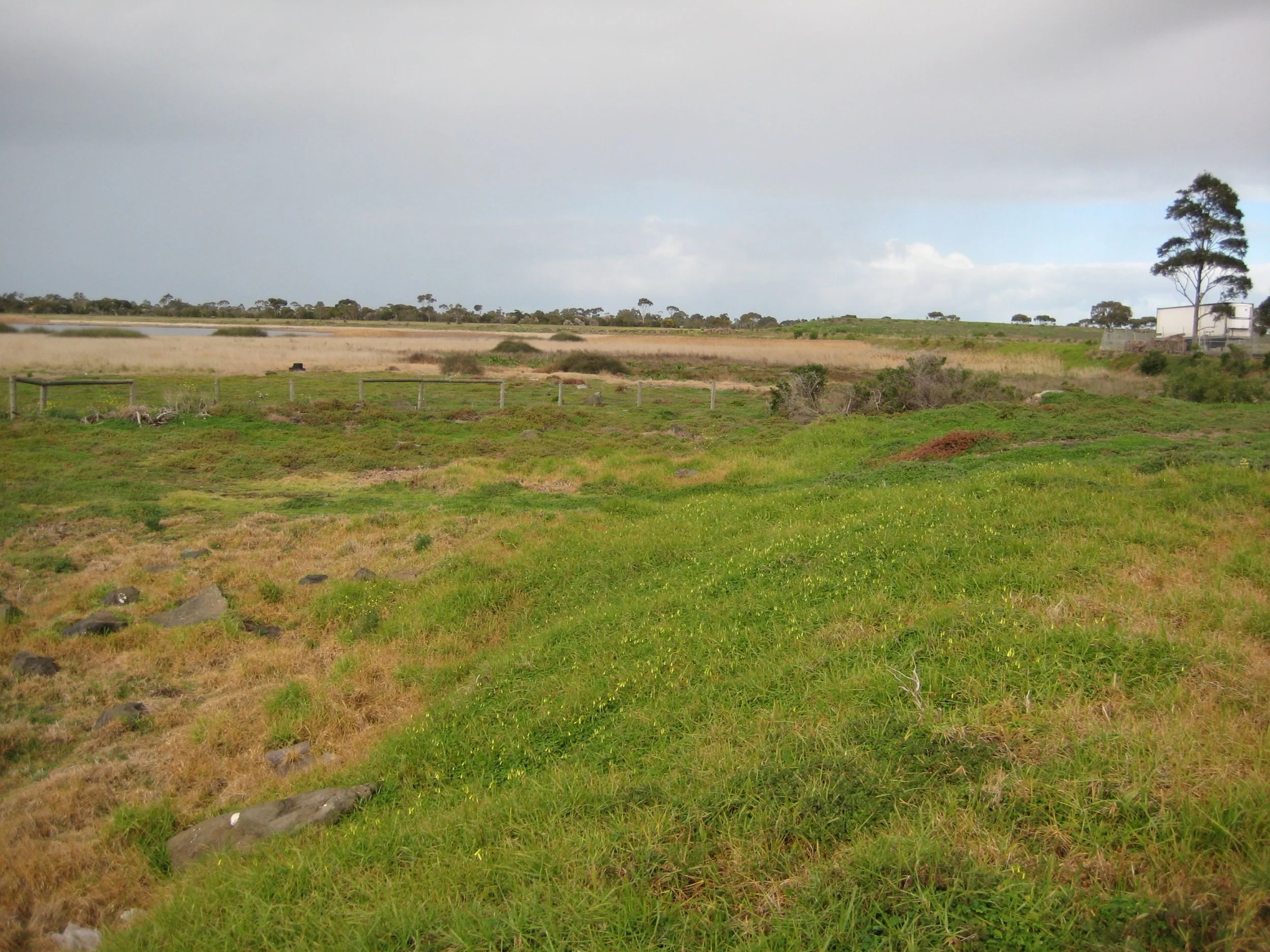 A grassy field with trees in the distance under a cloudy sky.