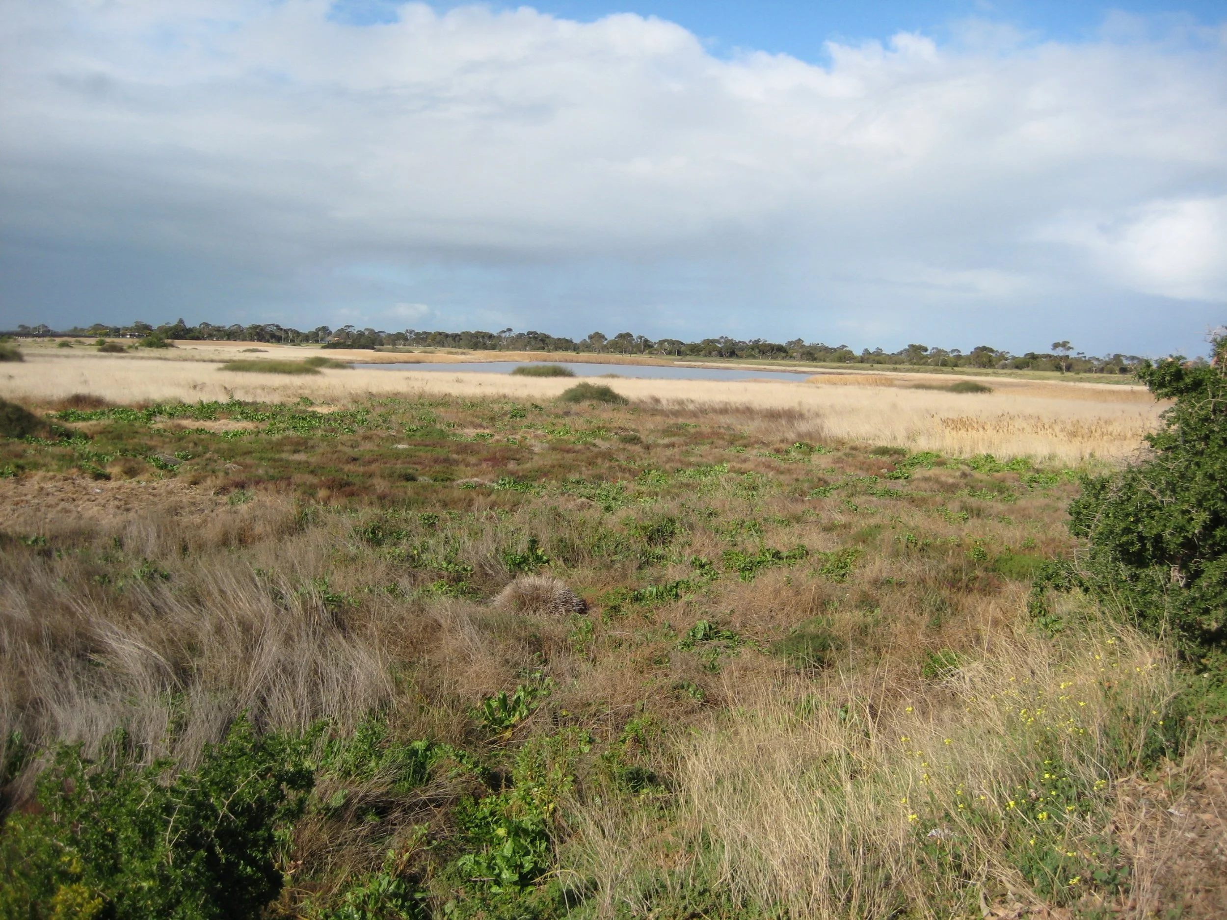 Scenic landscape with grassy fields, trees, and a cloudy sky.