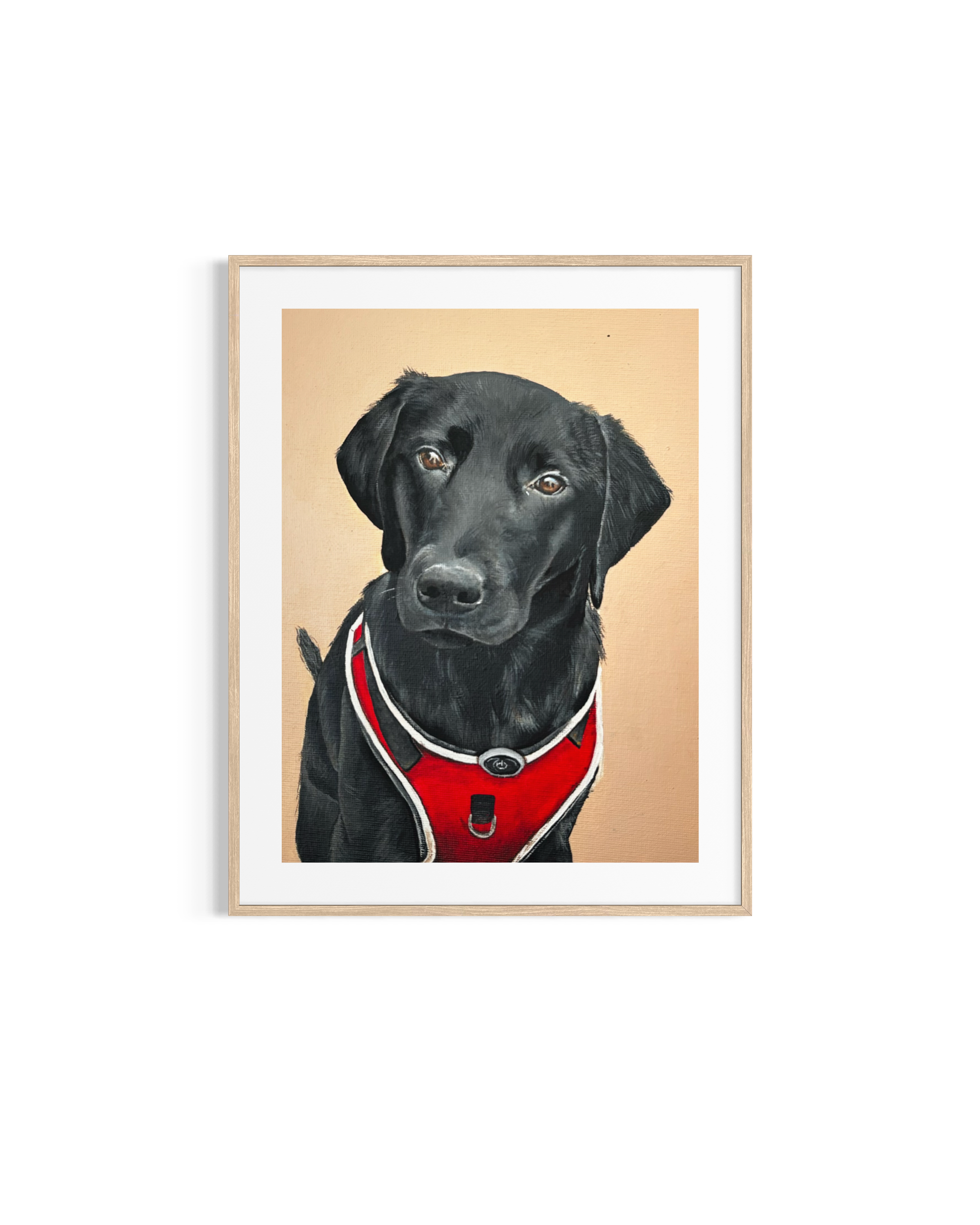 IMG_0036.png