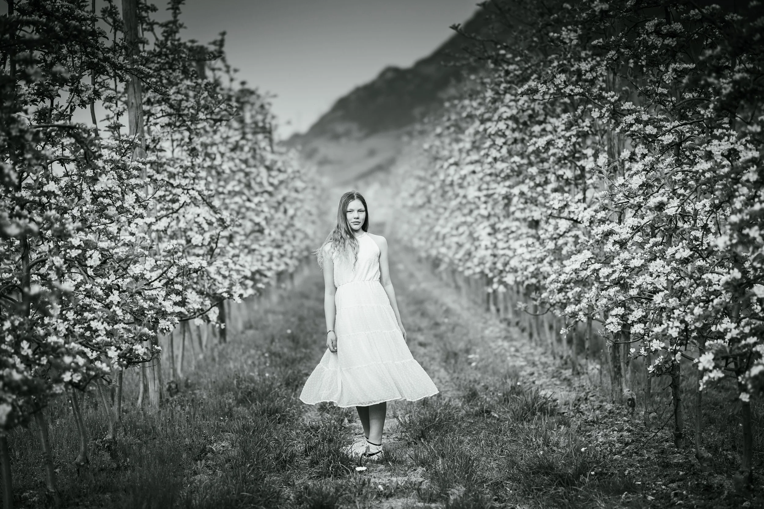 A young woman in a white dress walking through a pathway in an orchard of blooming trees, with mountains in the background.