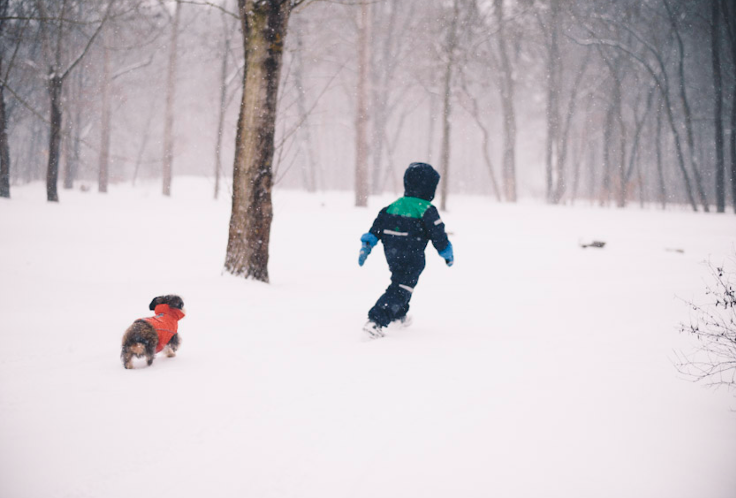 Snow clearing and gritting in Sweden: what you actually owe as a homeowner