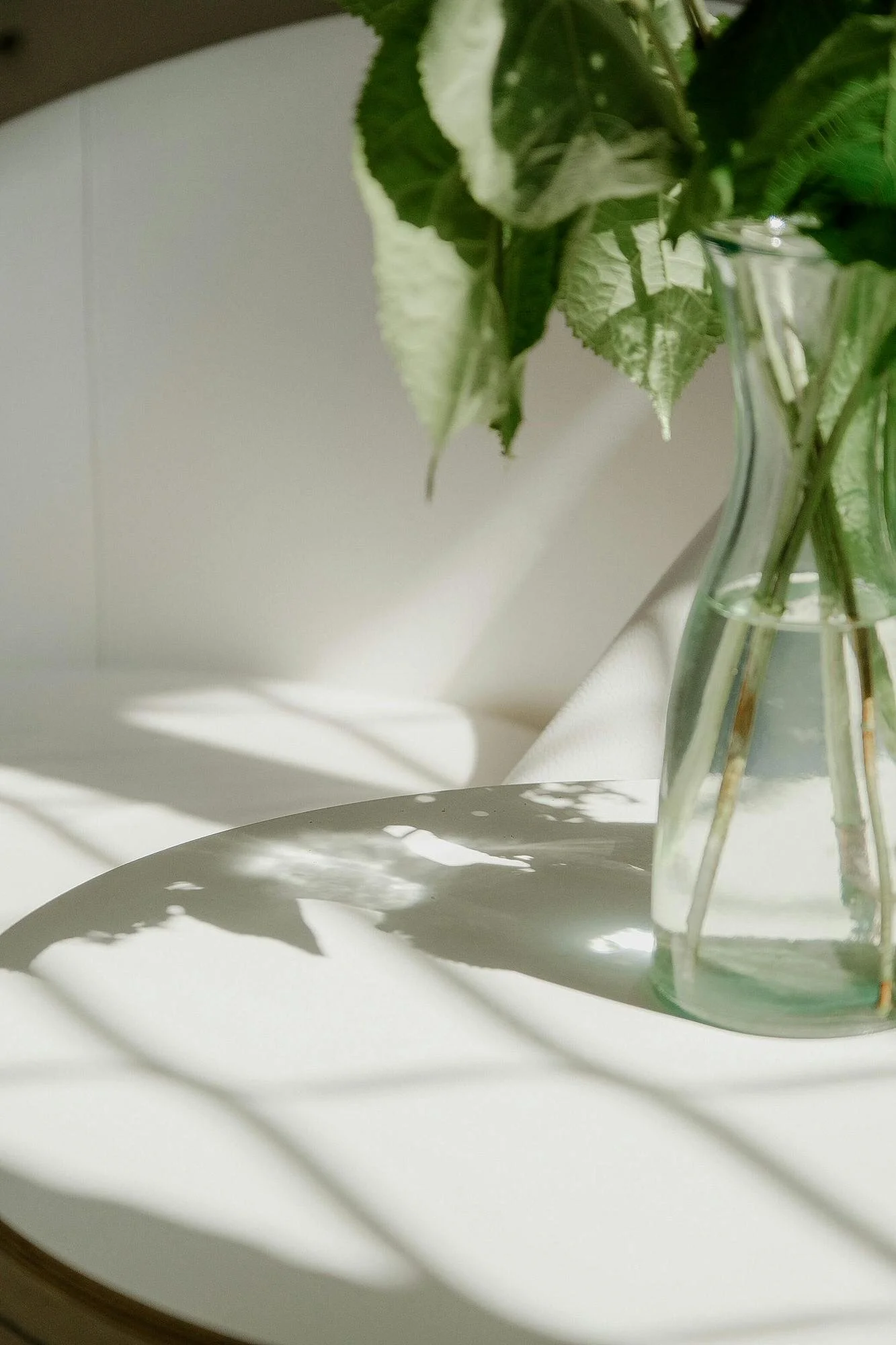 green leaves in clear base with shdows