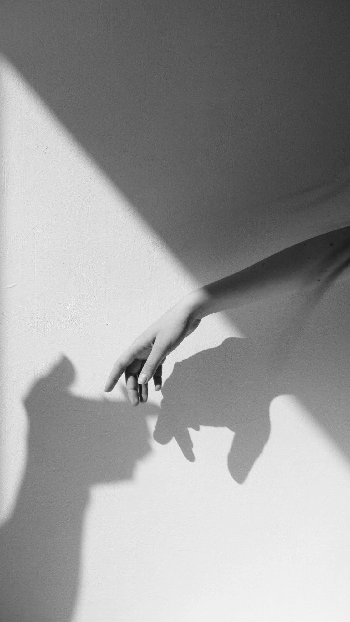 black and white image of a one hand reaching out to another