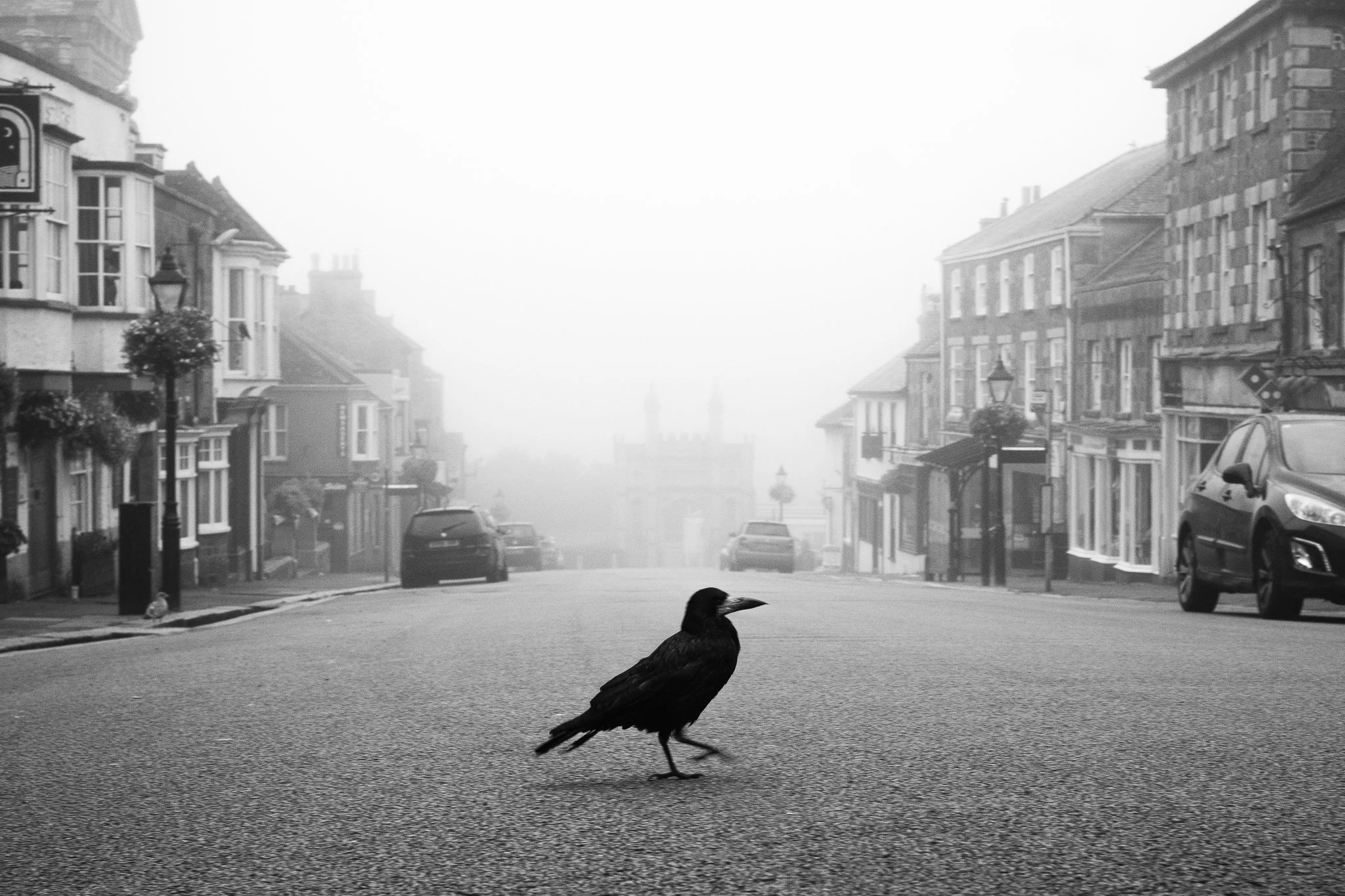 Crow Walk Helston
