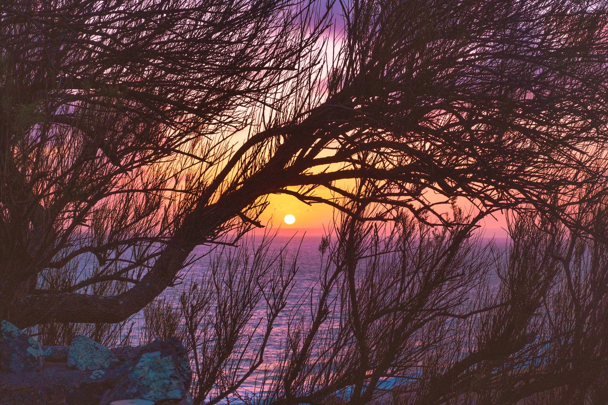 Sunset Trees at Pollurian Cove Mullion.