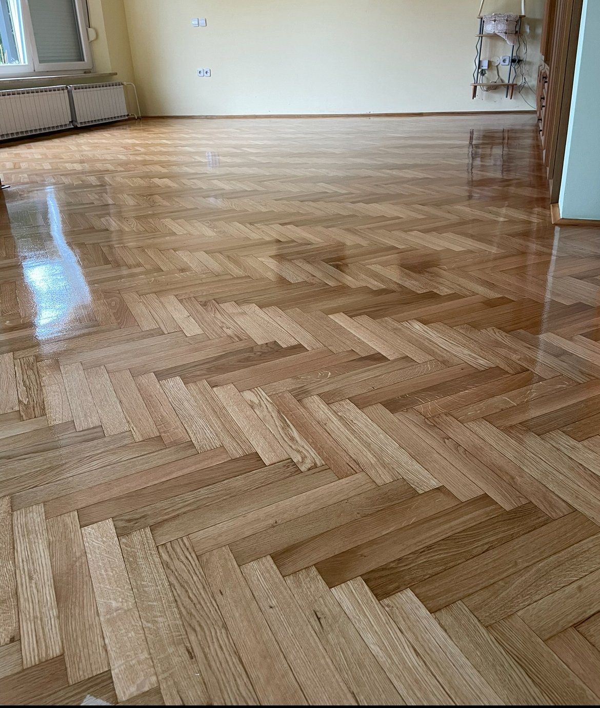 OBNOVLJENA RIBJA KOST JESEN