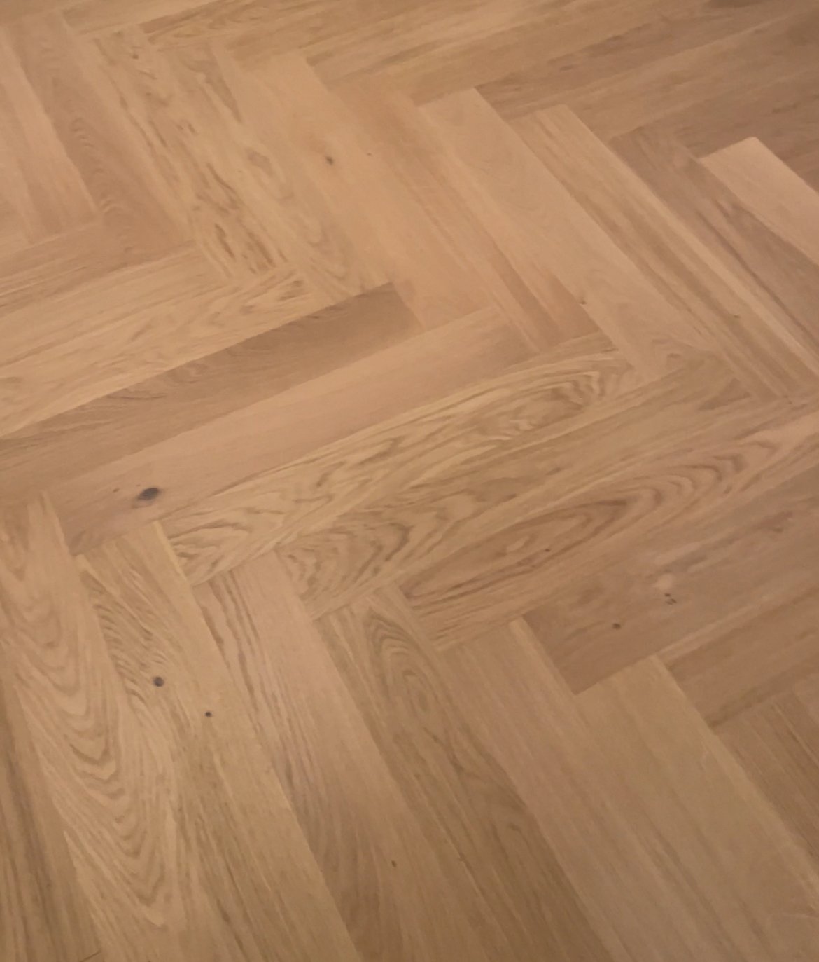 WEITZER HRAST BELJENA RIBJA KOST