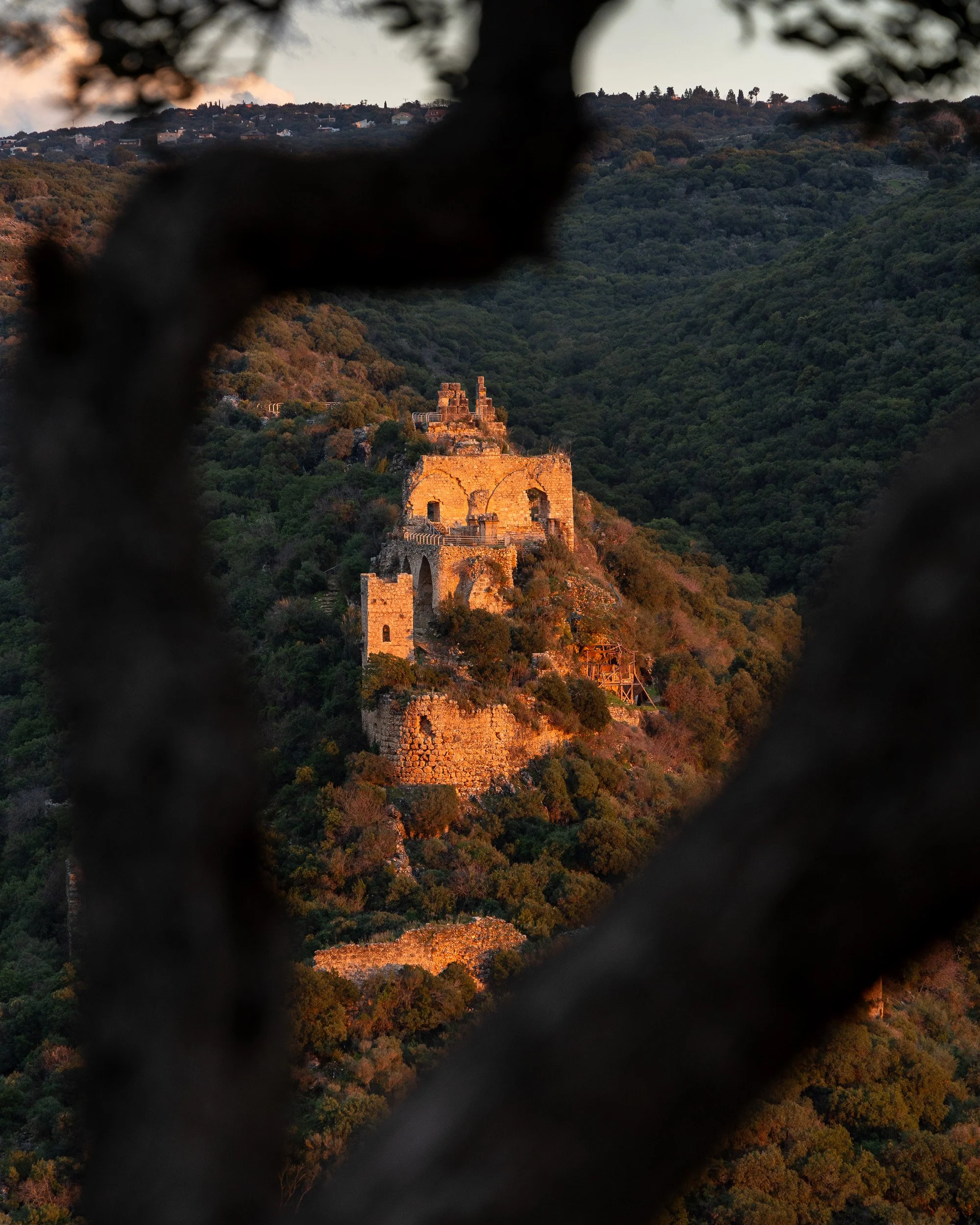 IMG_9095-Edit-WEB.jpg