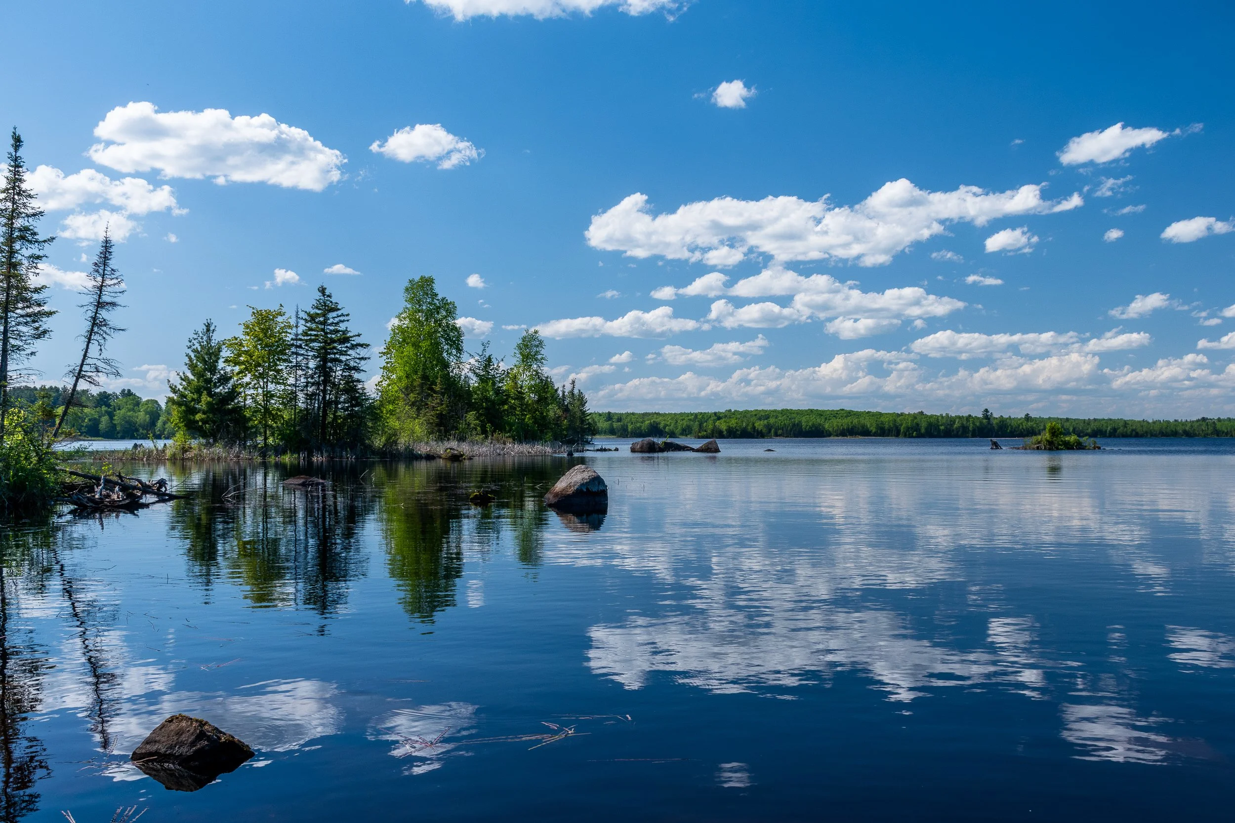 DSC_0241.jpg