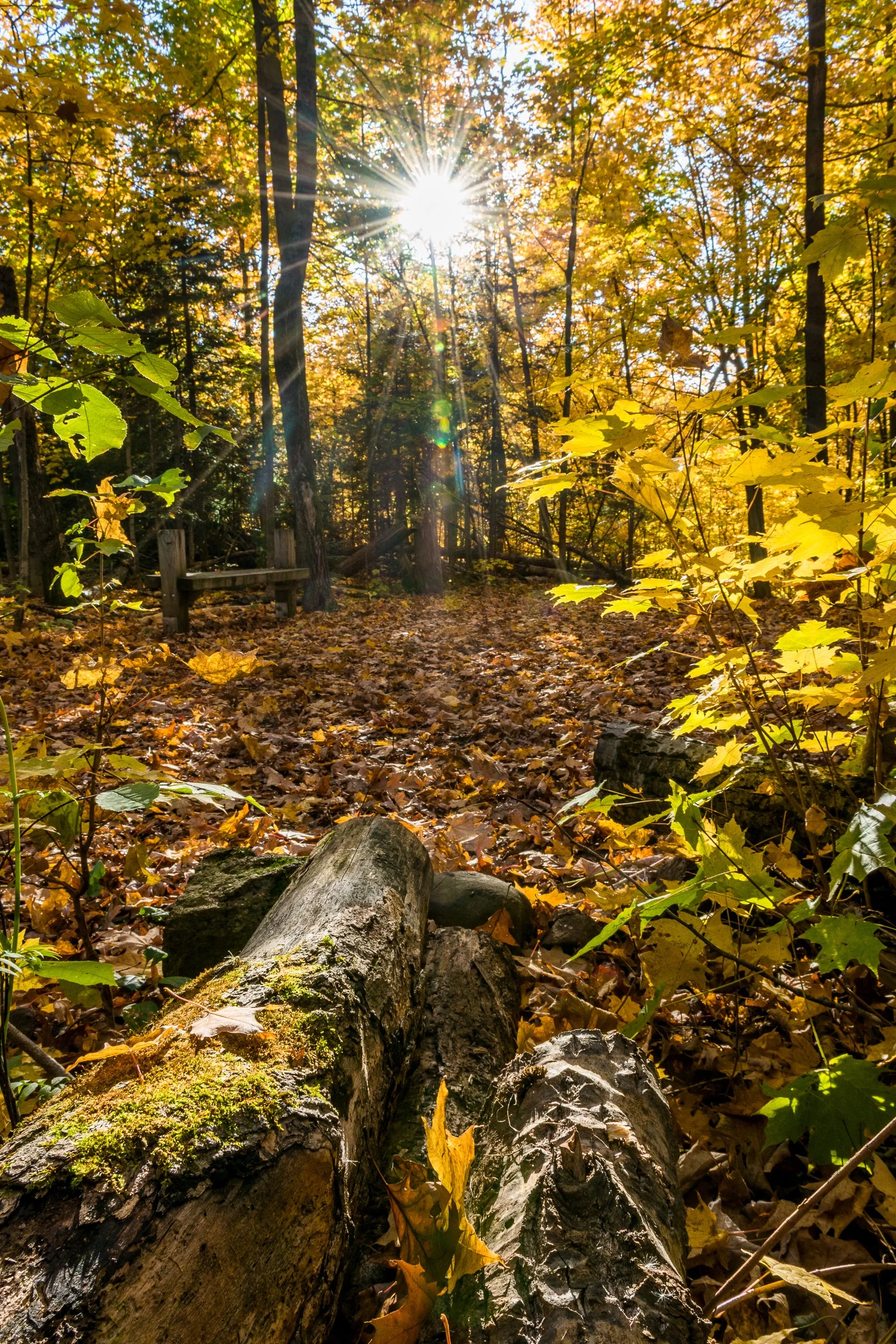 DSC_0119.jpg