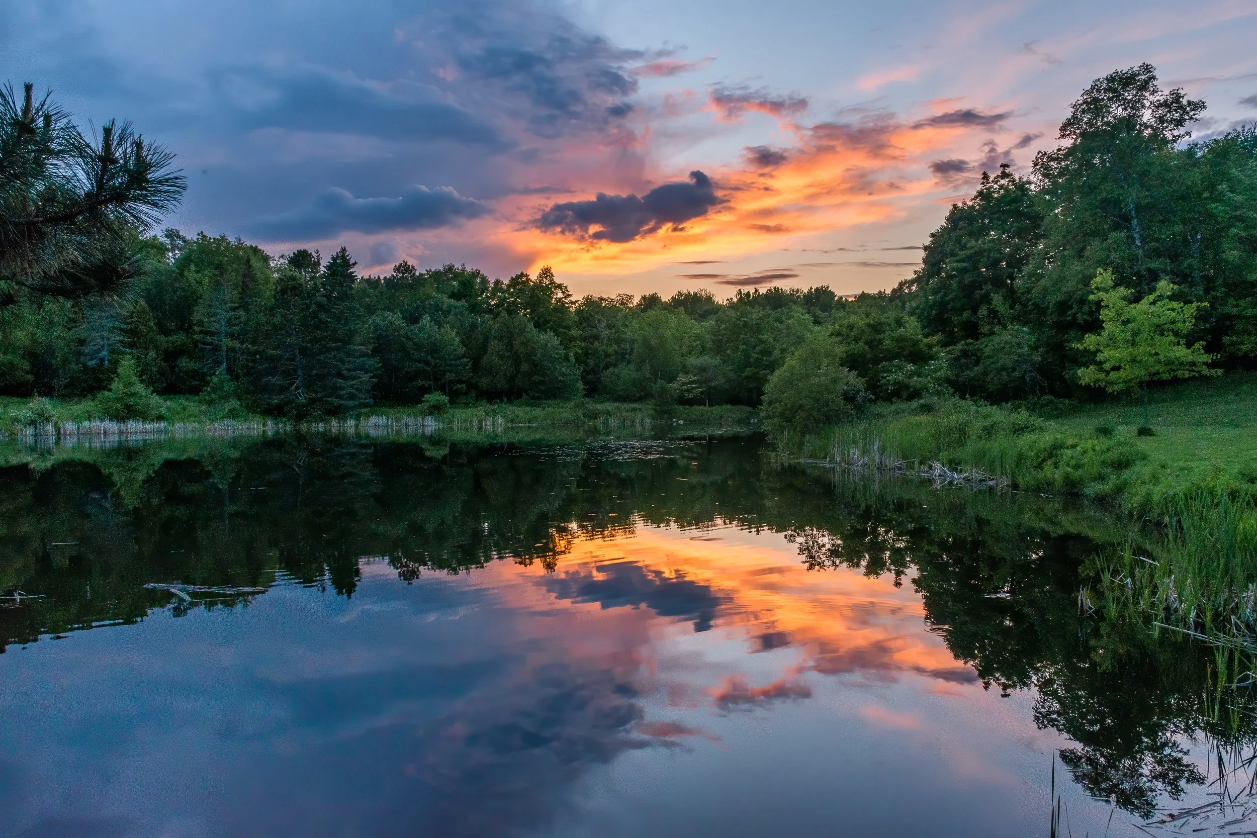 DSC_0002-Edit.jpg