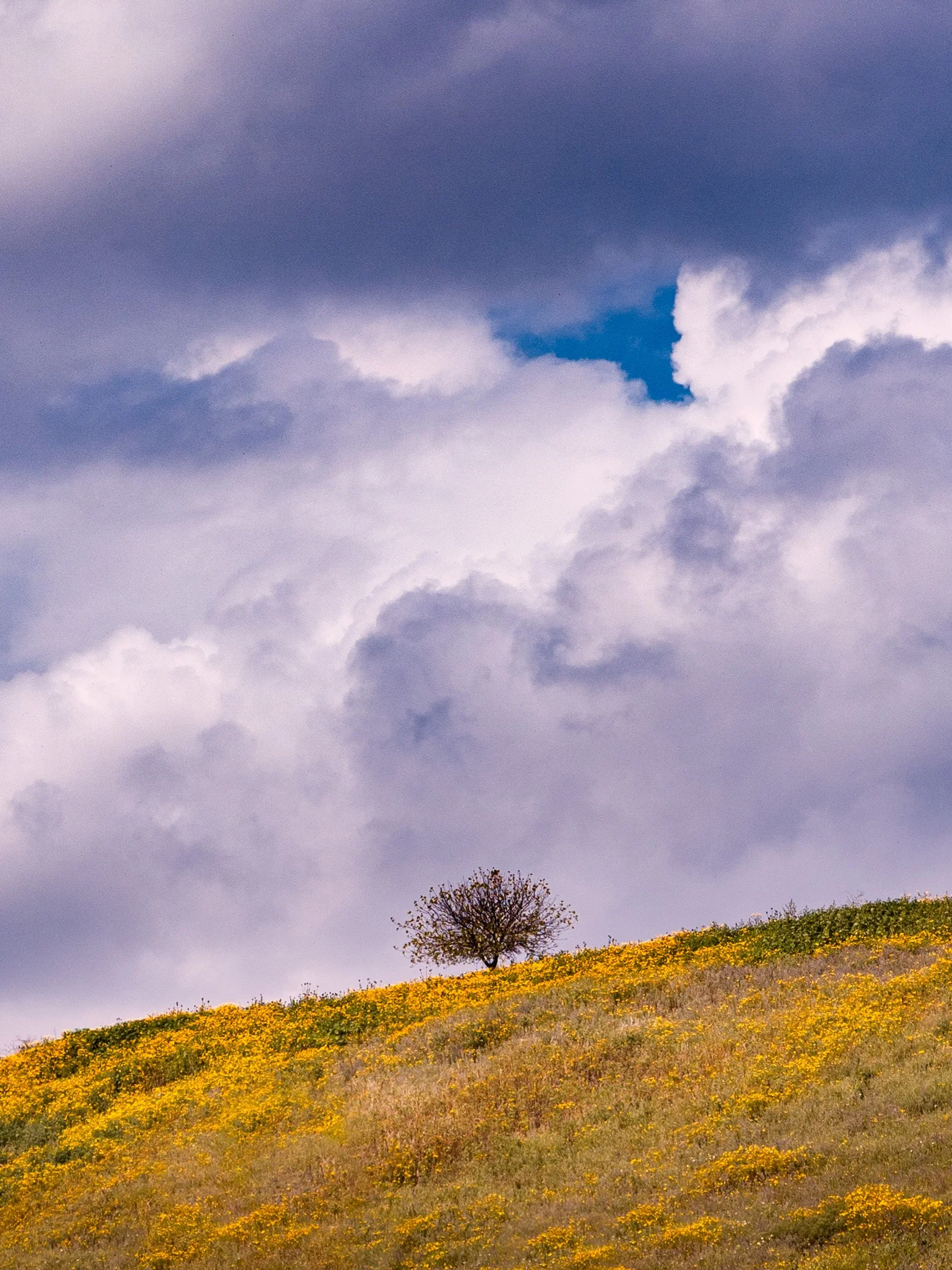 IMG_7833-Edit.jpg
