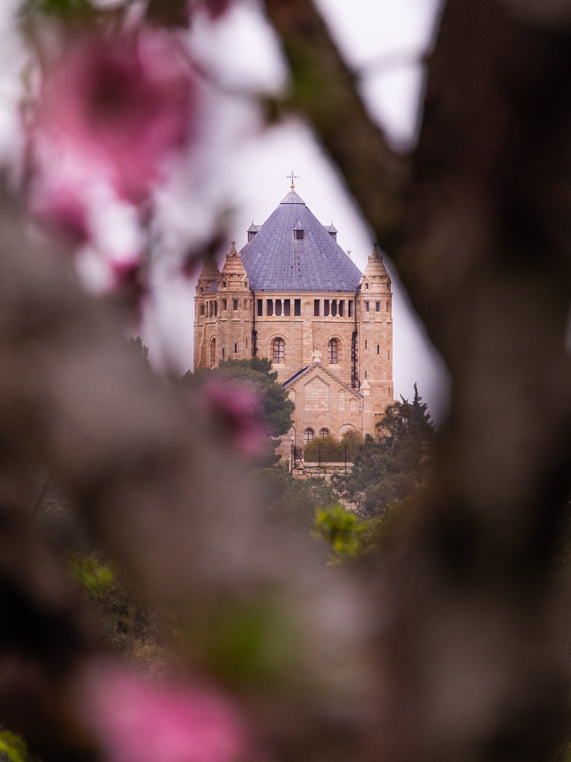 Dormition Abbey in Jerusalem, seen through the branches of a blooming tree