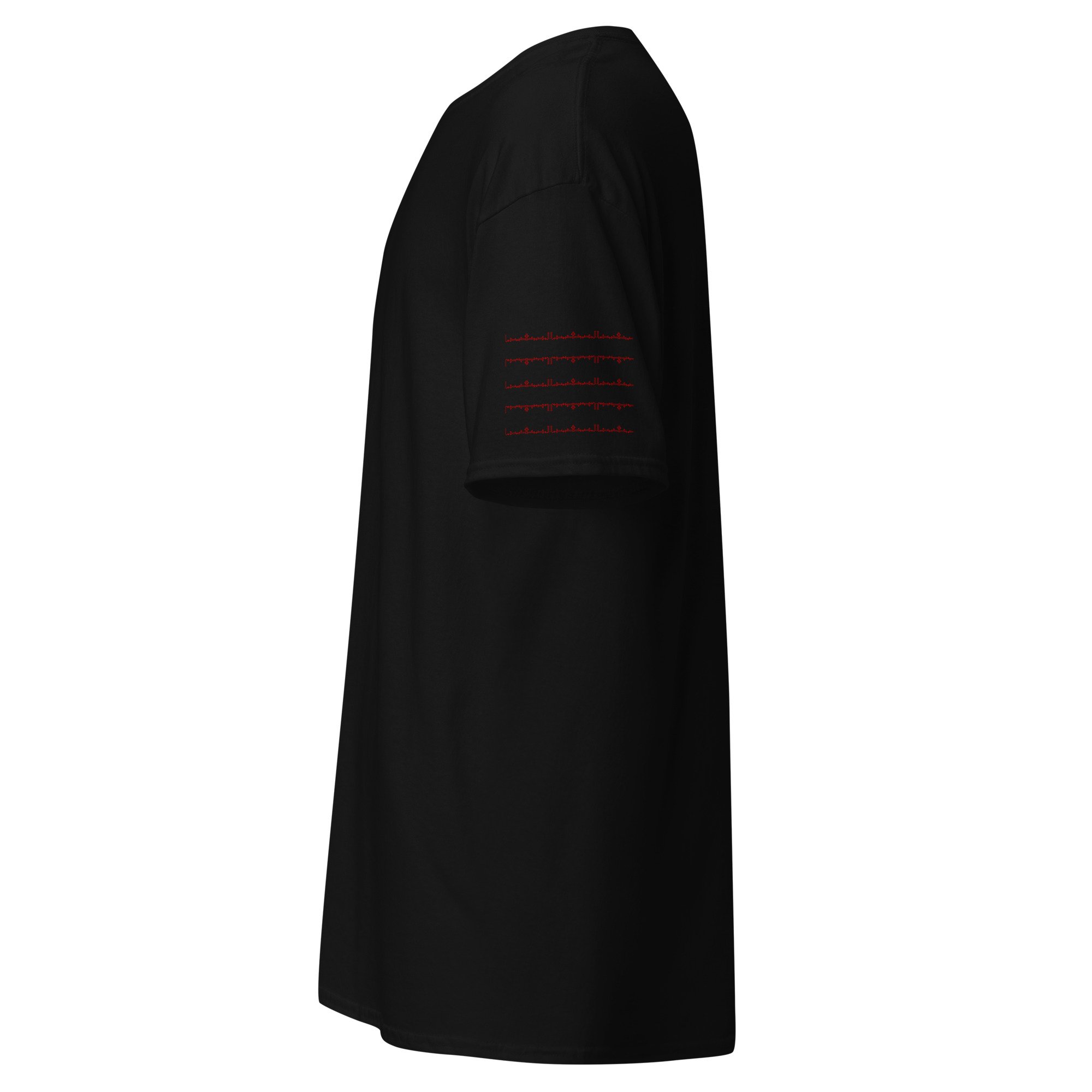 unisex-classic-tee-black-left-6aad44e7a4a59.jpg