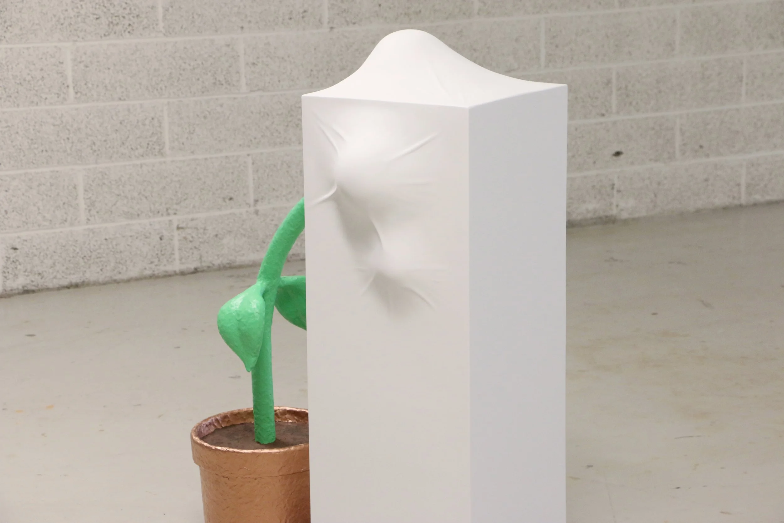 anxious_flower_close1_hi.jpg
