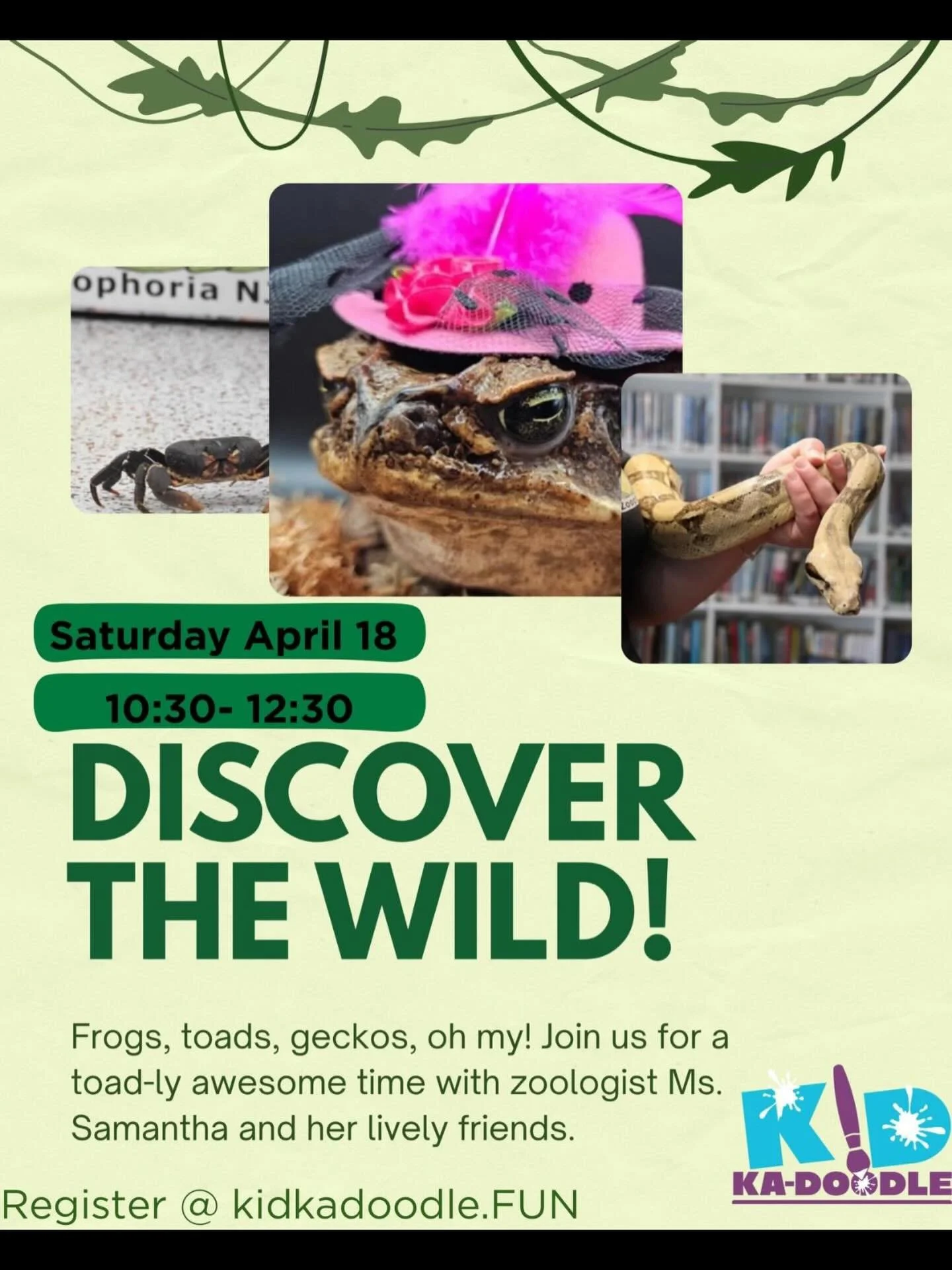 It&rsquo;s almost here&hellip;..Zoophoria is coming to Kid Ka Doodle this Saturday April 18th! You&rsquo;ll get to meet their amazing snakes, frogs, and other animals, and learn all about these fascinating creatures. We still have a few spots availab