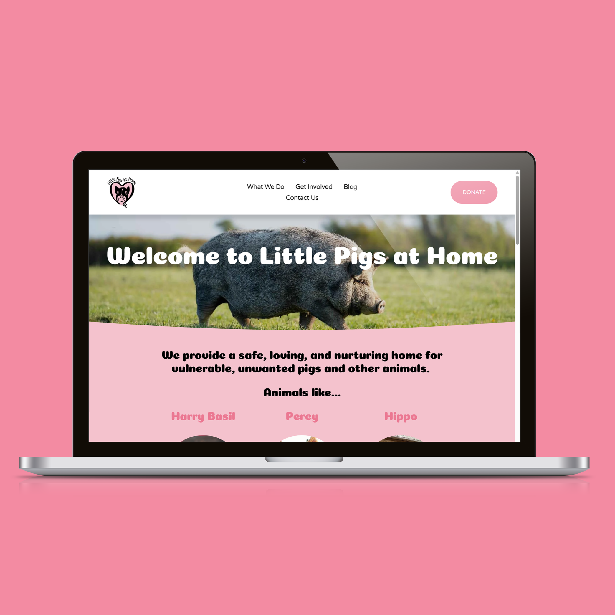 Bringing an animal sanctuary’s mission online