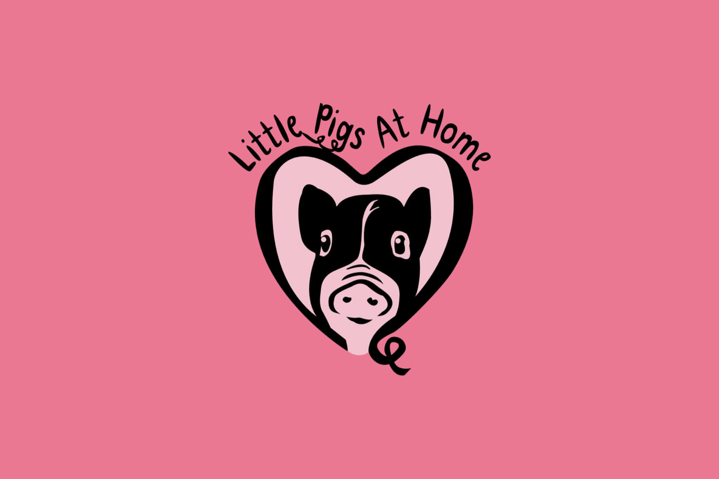 Little Pigs at Home