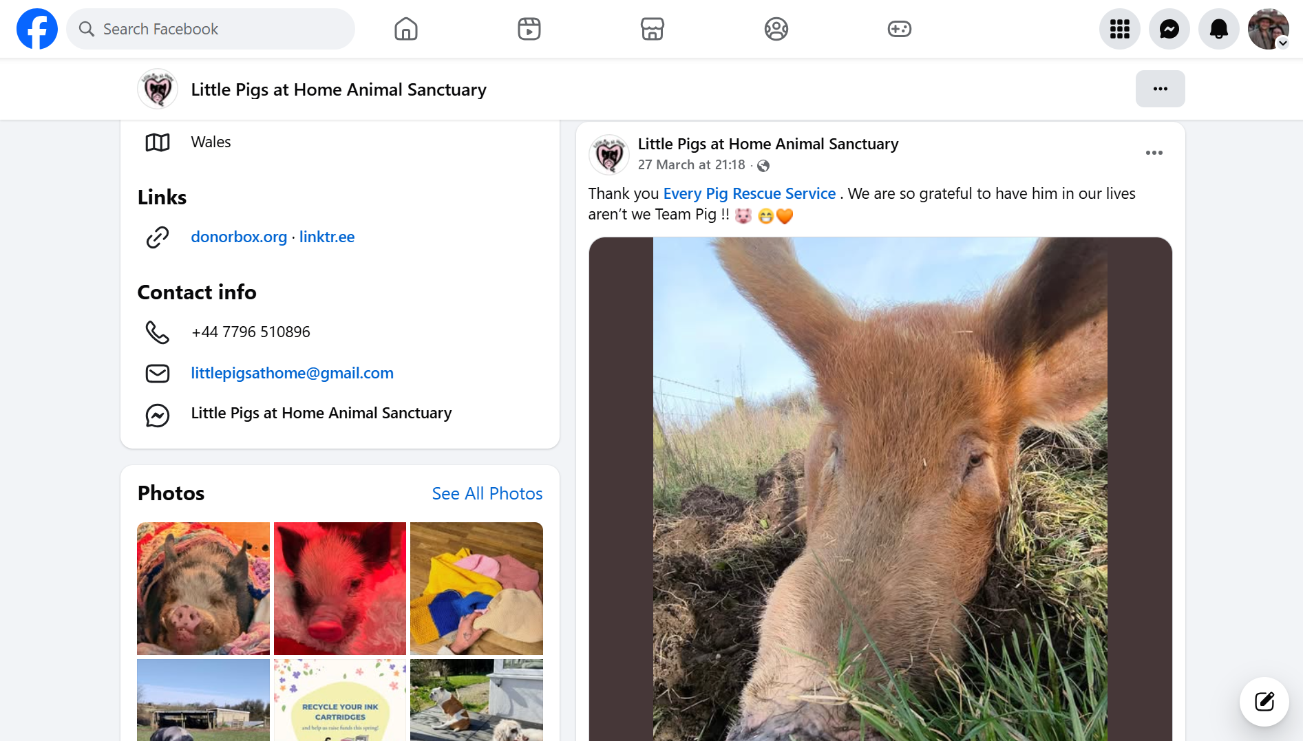 Screenshot 2026-03-31 103023.png