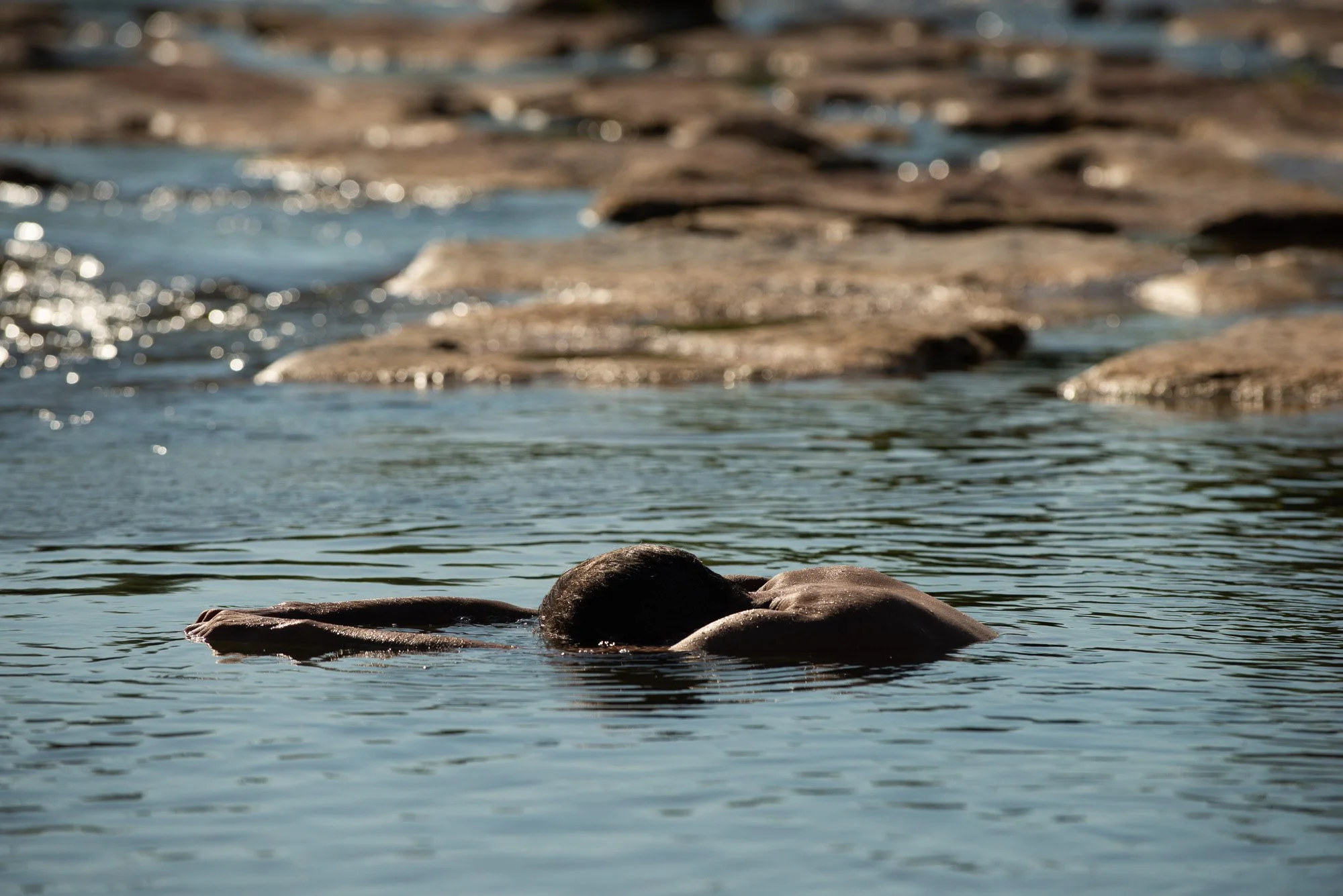 Une personne nage dans une rivière ou un lac, avec des rochers visibles à la surface de l'eau en arrière-plan lors du stage Nature.s avec Stéphane Vernier et Isabelle Chapuis.
