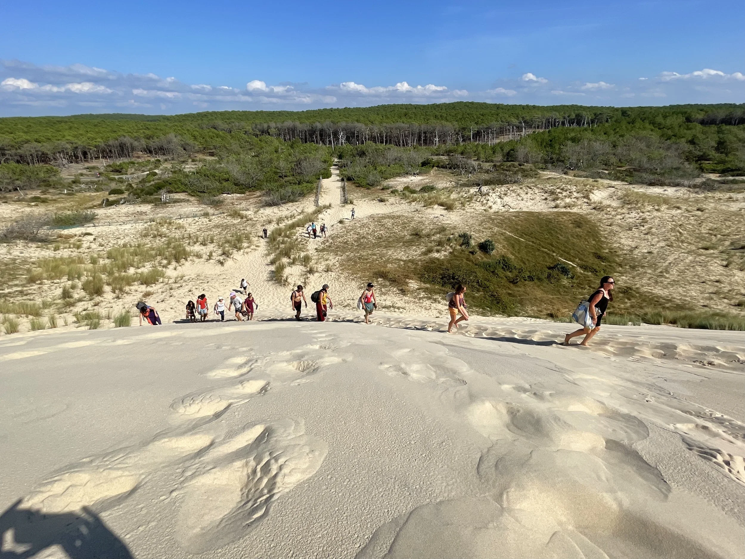 Groupe de personnes marchant en file sur une dune de sable, avec un paysage de dunes, de végétation et de forêt en arrière-plan, sous un ciel bleu avec quelques nuages, lors du stage La Sagesse des Vagues.