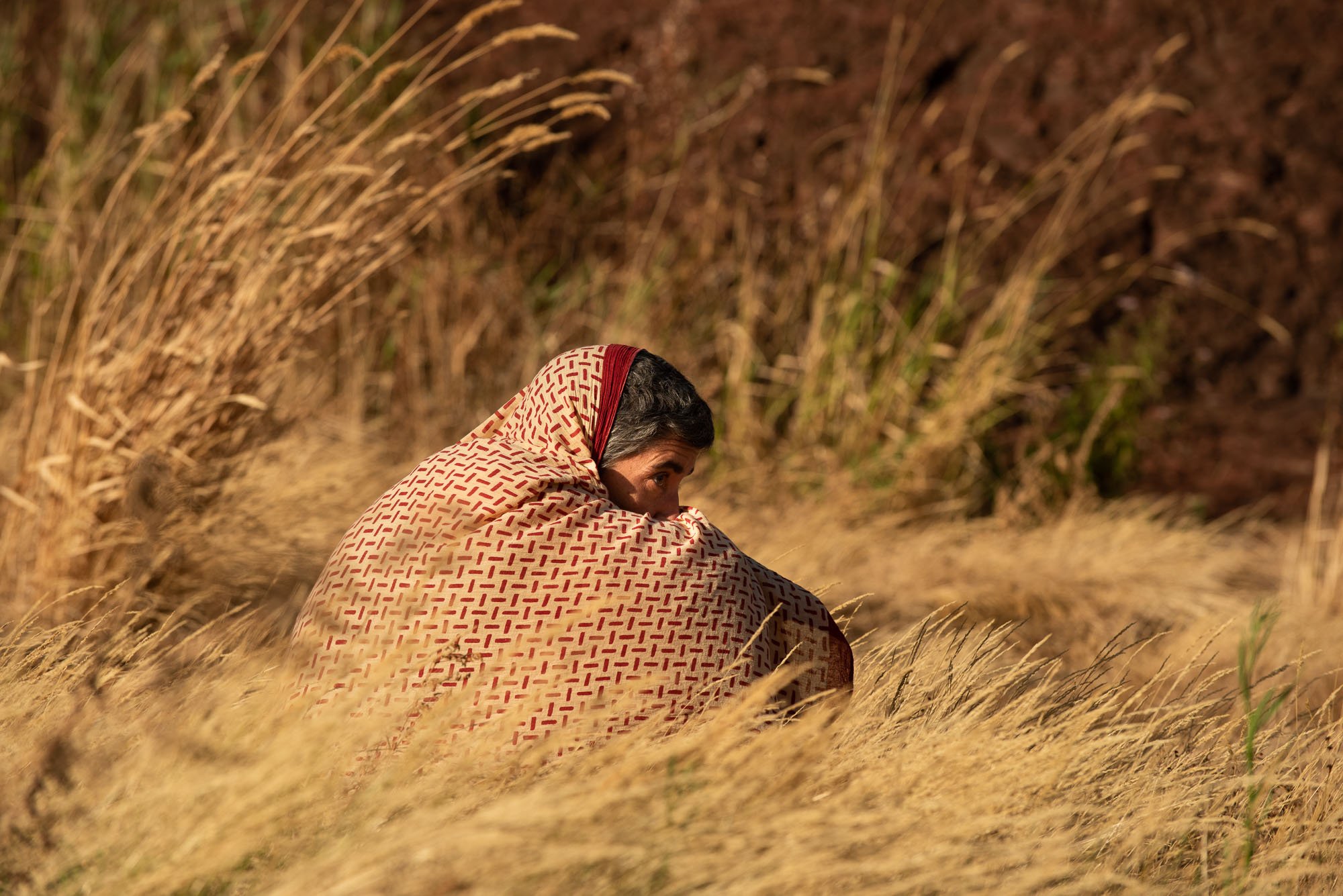 Une femme assise dans un champ de blé doré, portant une robe ou un vêtement à capuche à motif rouge et beige, regardant vers la droite, lors du stage Nature.s avec Stéphane Vernier et Isabelle Chapuis.