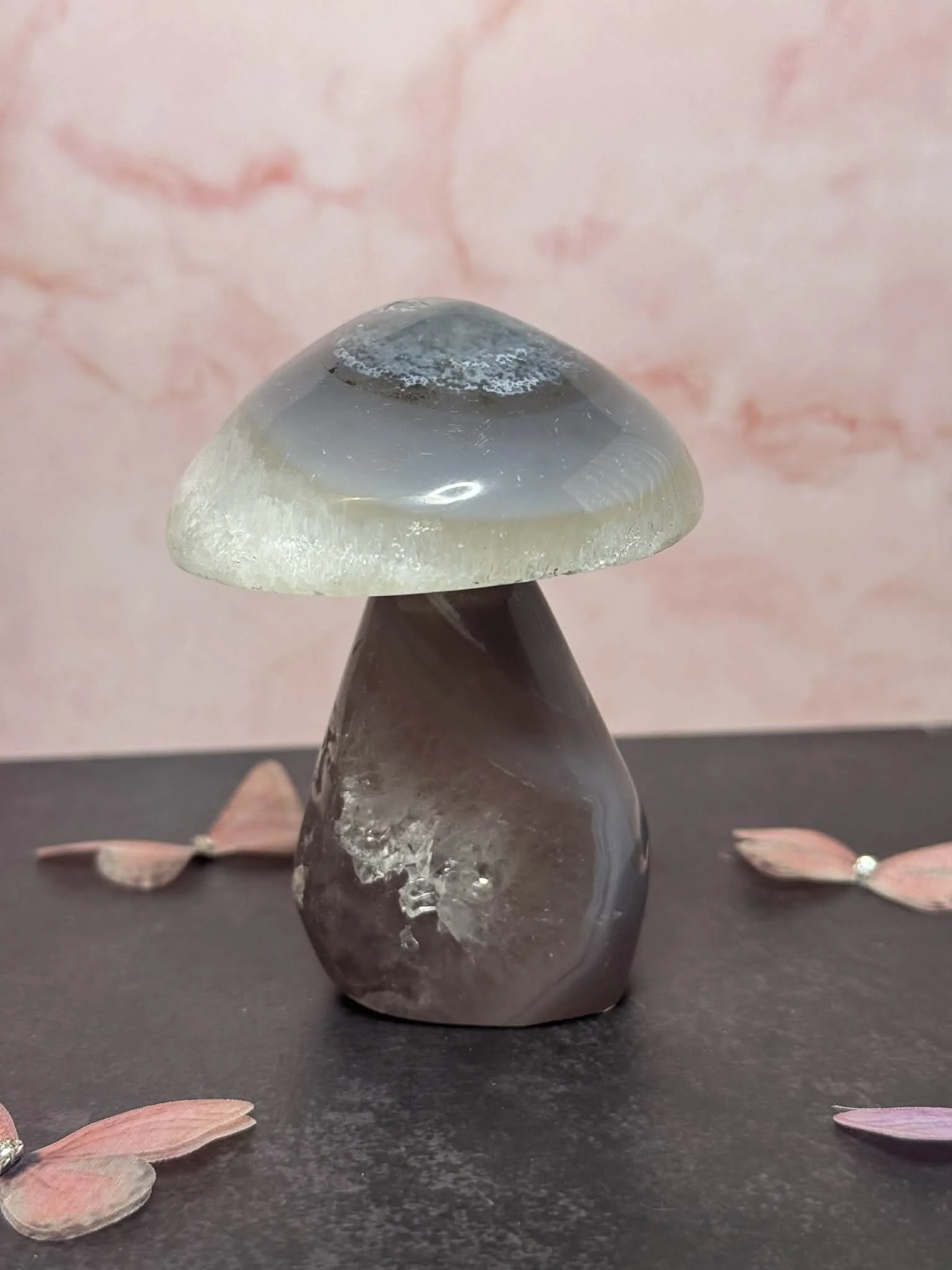 Agate mushrooms