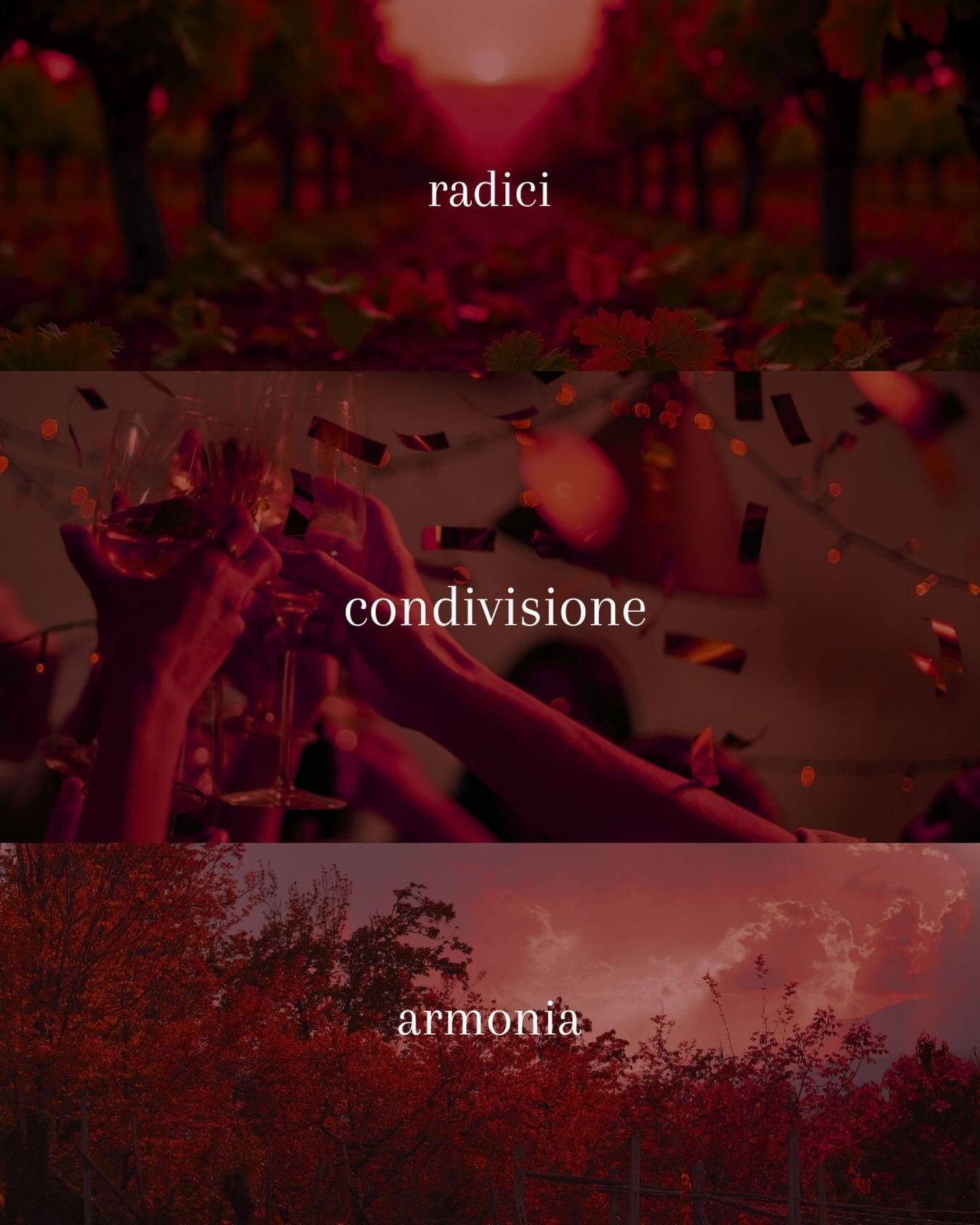 Dal terreno che d&agrave; vita alle nostre radici, al calore di un brindisi in condivisione, fino alla quiete e l&rsquo;armonia dei paesaggi: un vino che diventa emozione

#wine #winelover #italianwine