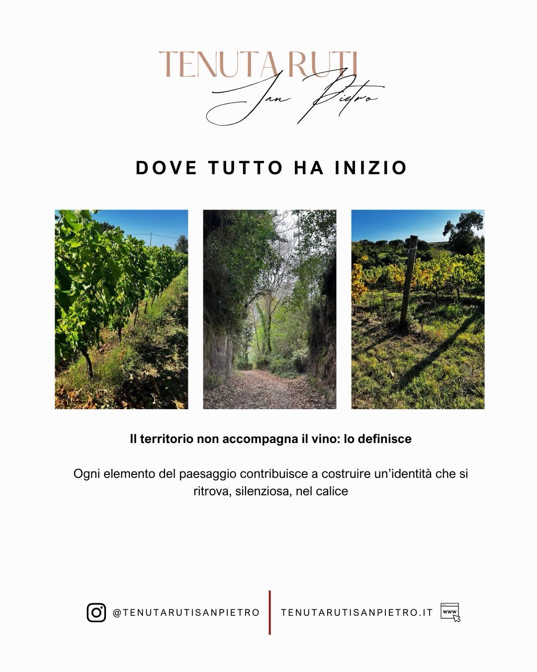 C&rsquo;&egrave; un punto in cui il vino smette di essere solo prodotto e diventa conseguenza di un luogo.

In Campania, tra le colline dell&rsquo;Alto Casertano e l&rsquo;area di Sessa Aurunca, il paesaggio non accompagna la vite: la definisce.

In 