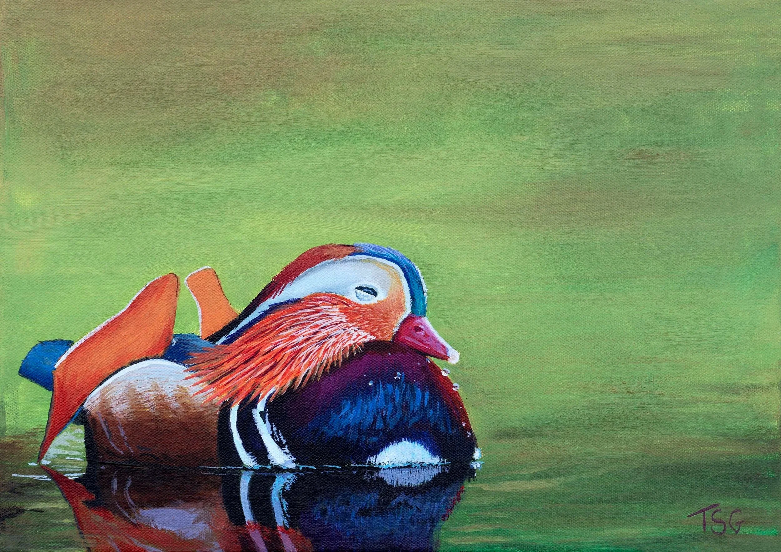 Original acrylic mandarin duck painting Sora on stretched canvas 40x30 cm with reflection