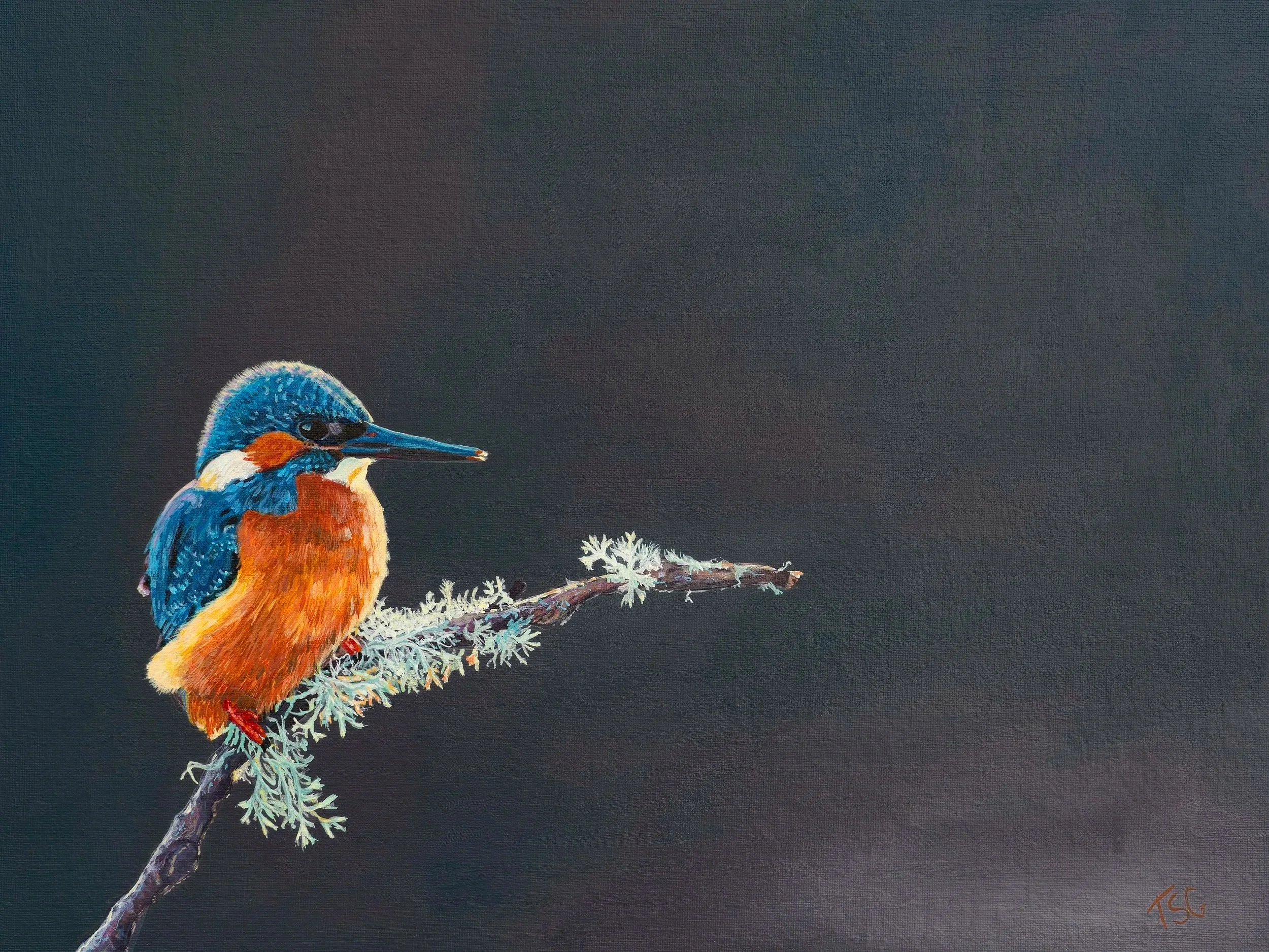 Original acrylic bird painting Bertie on canvas