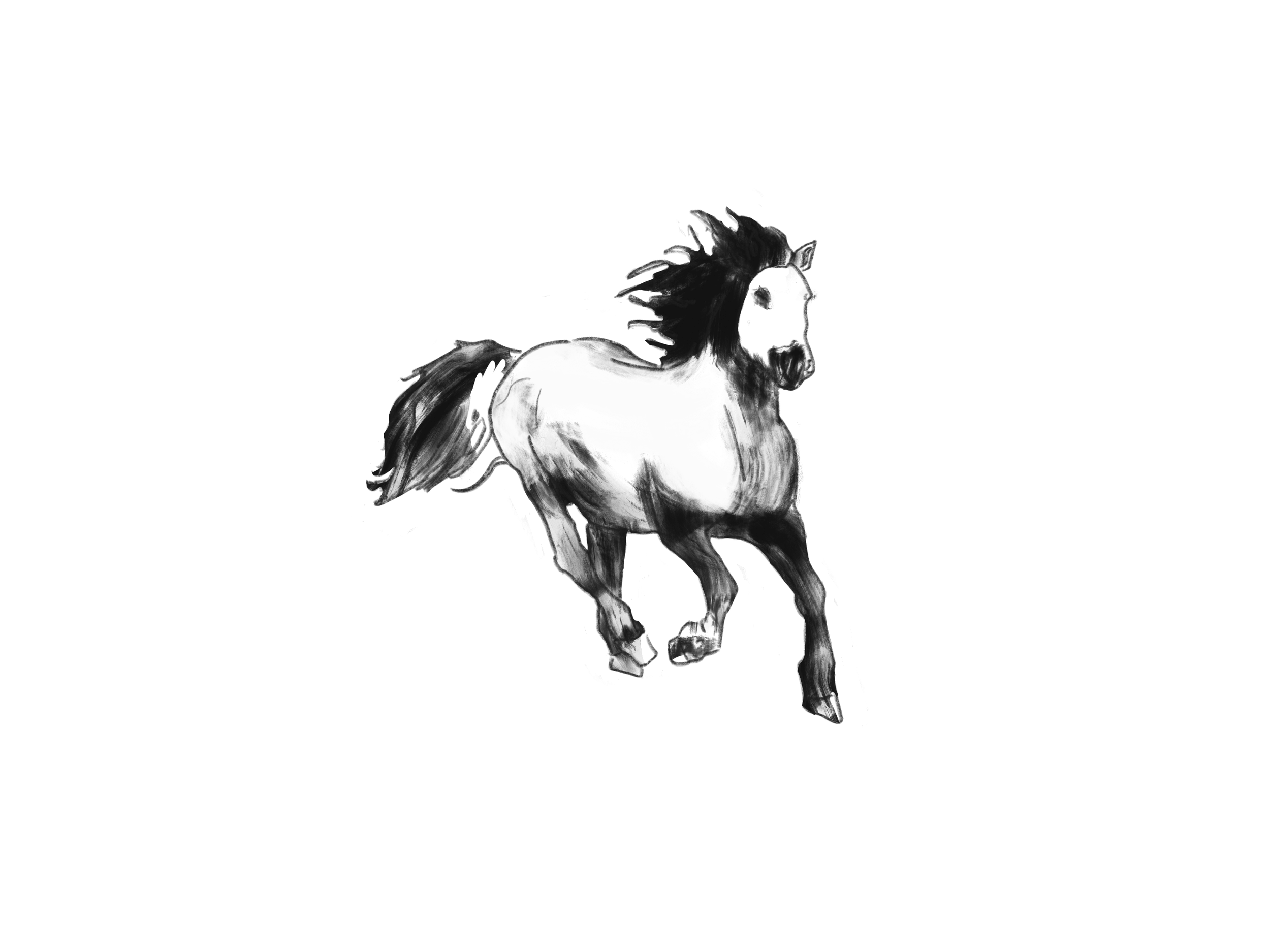 Black and white sketch of a horse with a white patch on its chest, standing on grass.