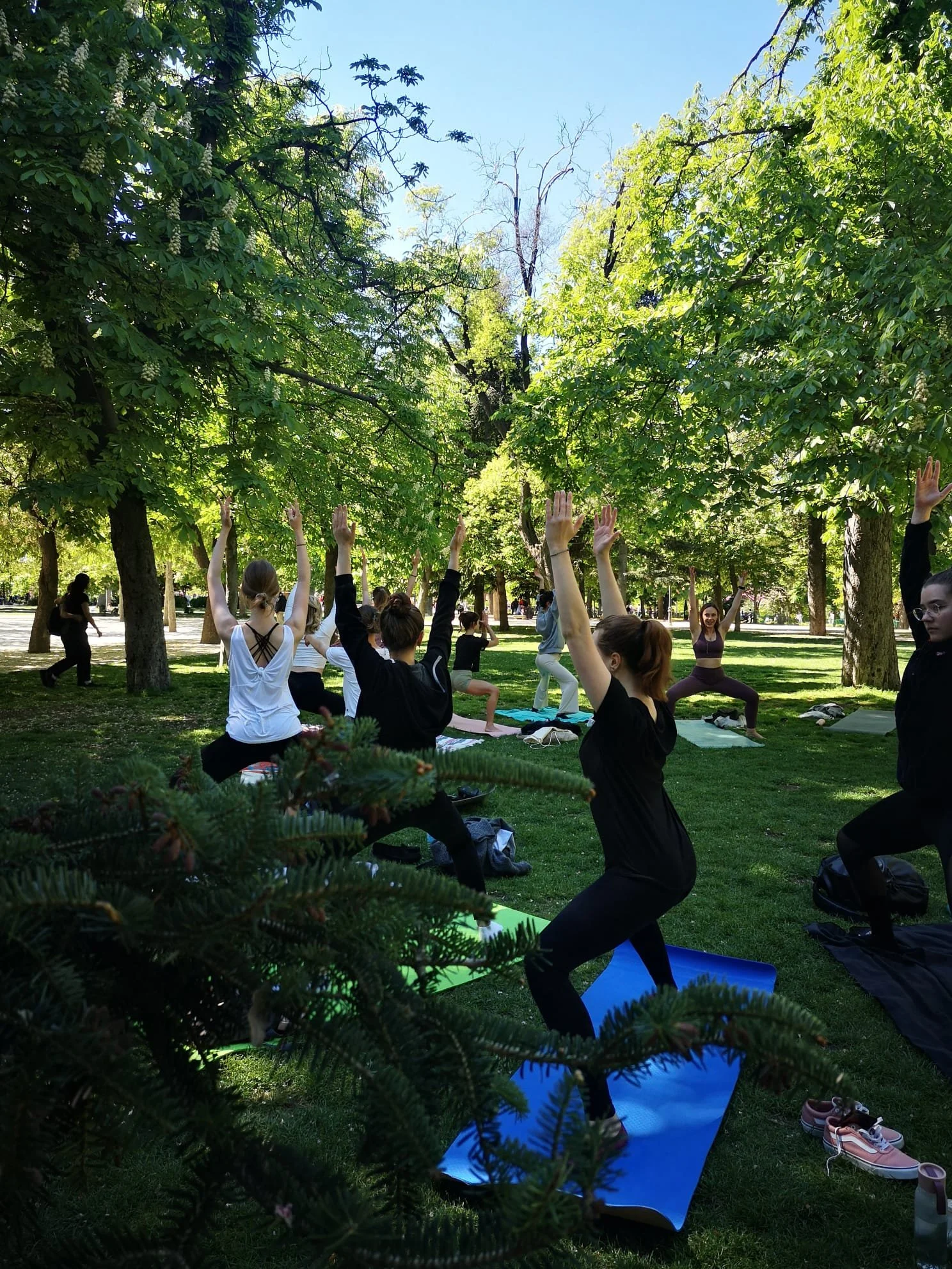 People practicing yoga outdoors in a park surrounded by trees, with sunlight filtering through the leaves.