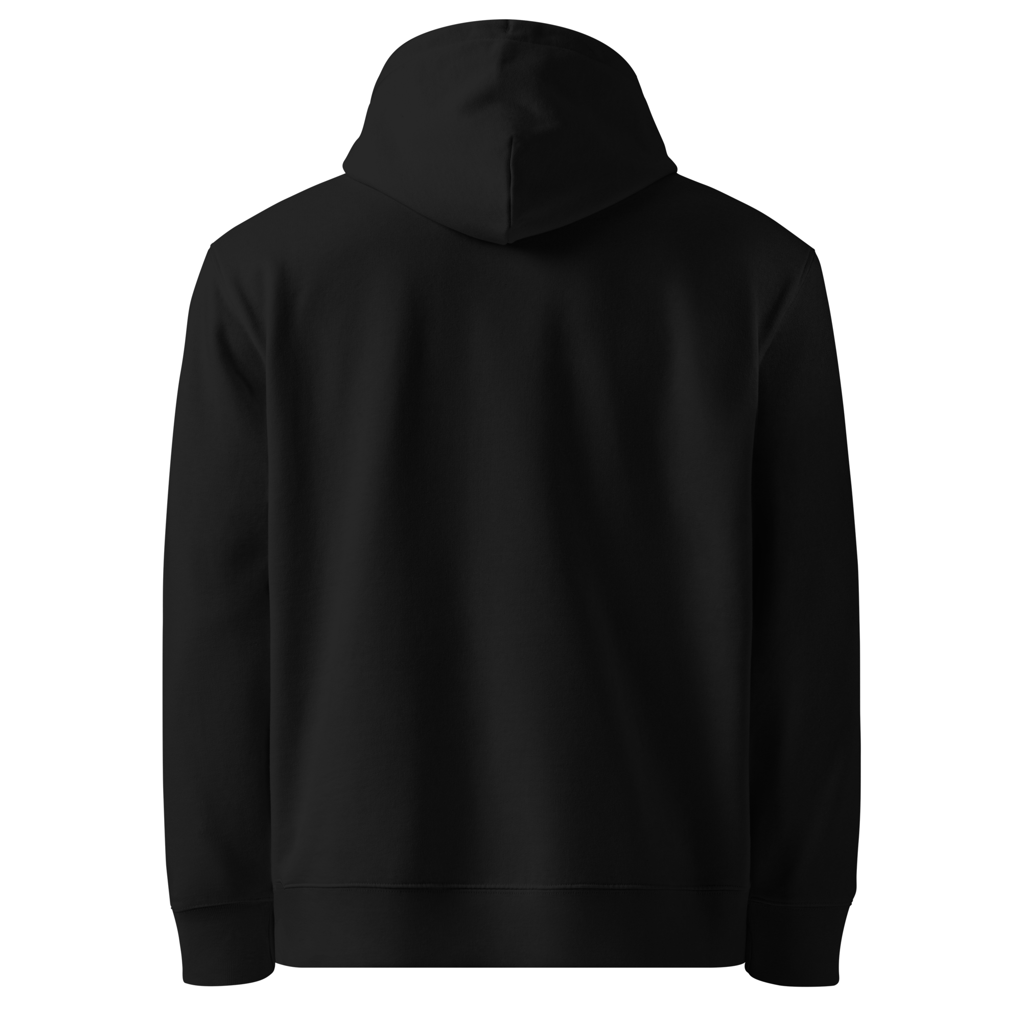 unisex-essential-eco-cruiser-2.0-hoodie-black-back-69d63532be6a6.png