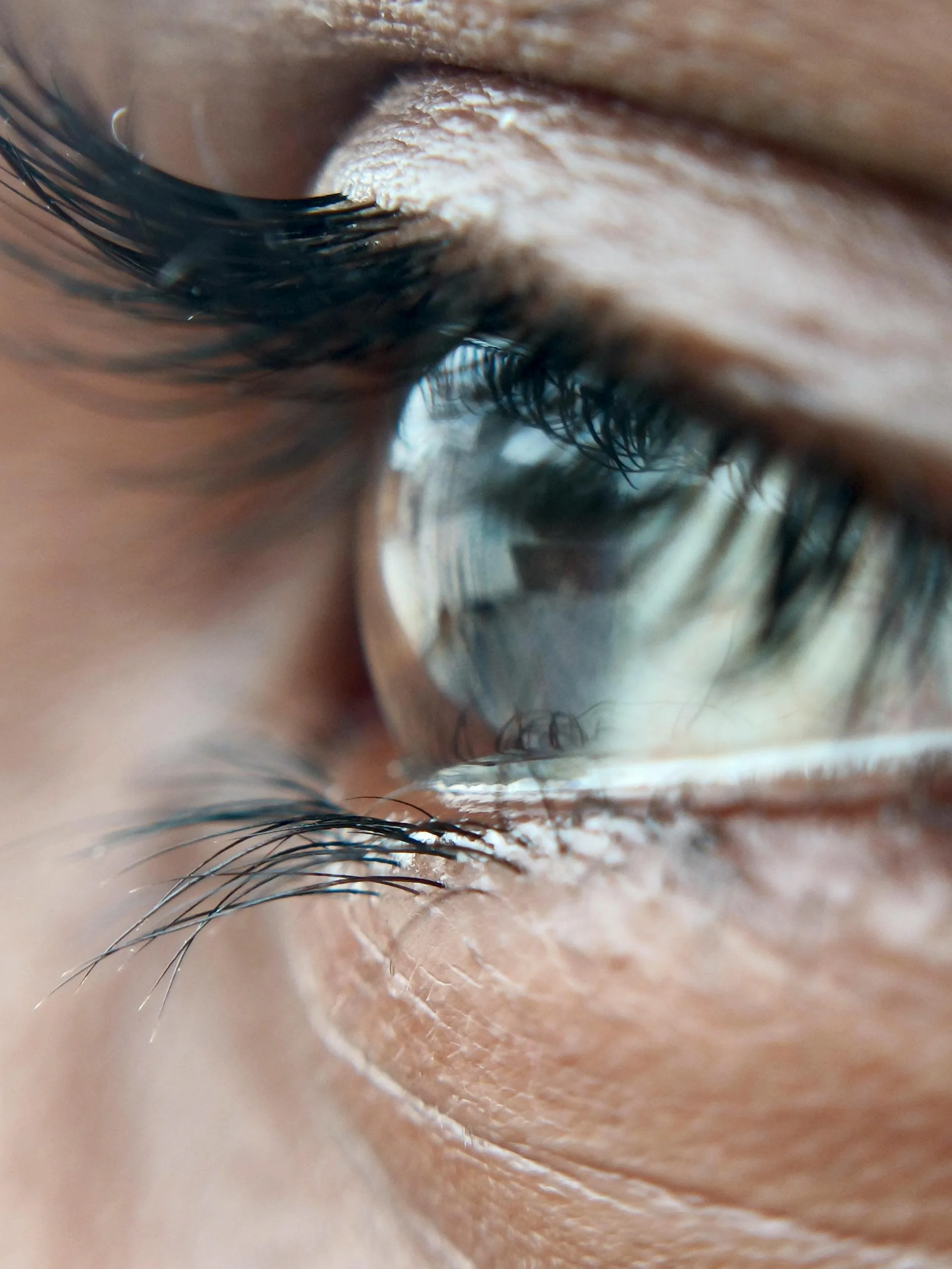 Close-up of eyelashes